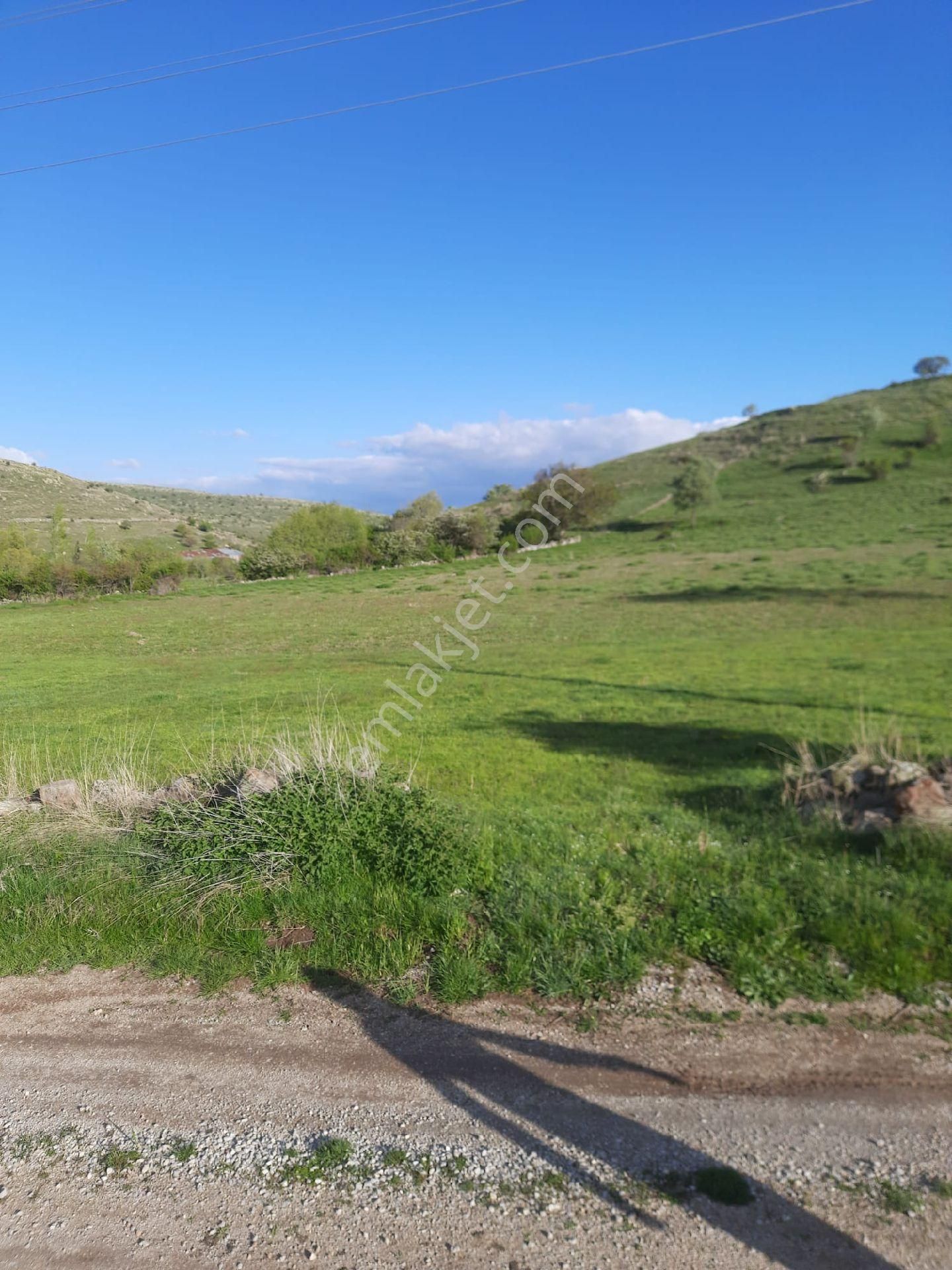 Söğüt Emlak'tan Büyükkalecikte