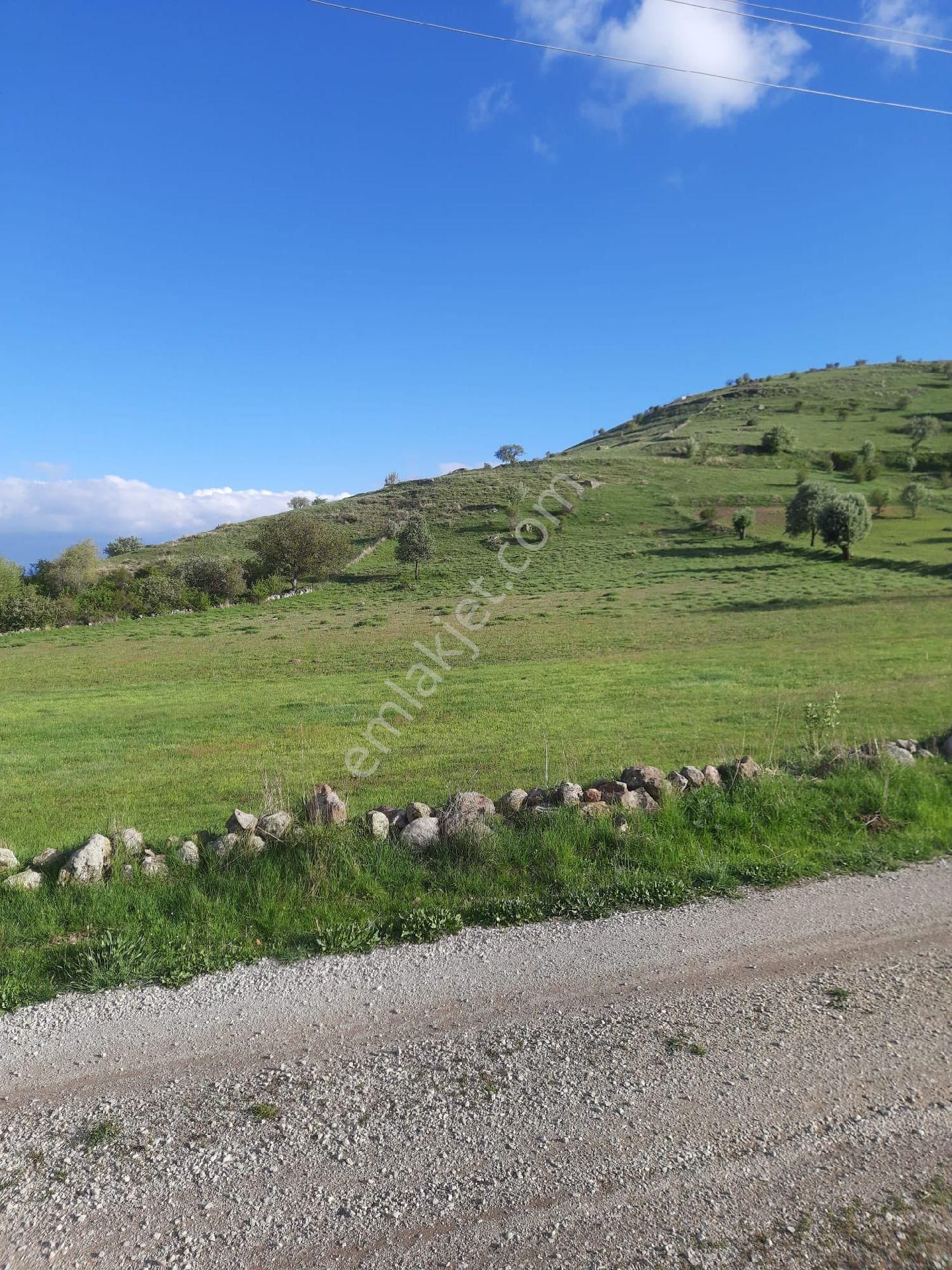 Söğüt Emlak'tan Büyükkalecikte - Görsel 2