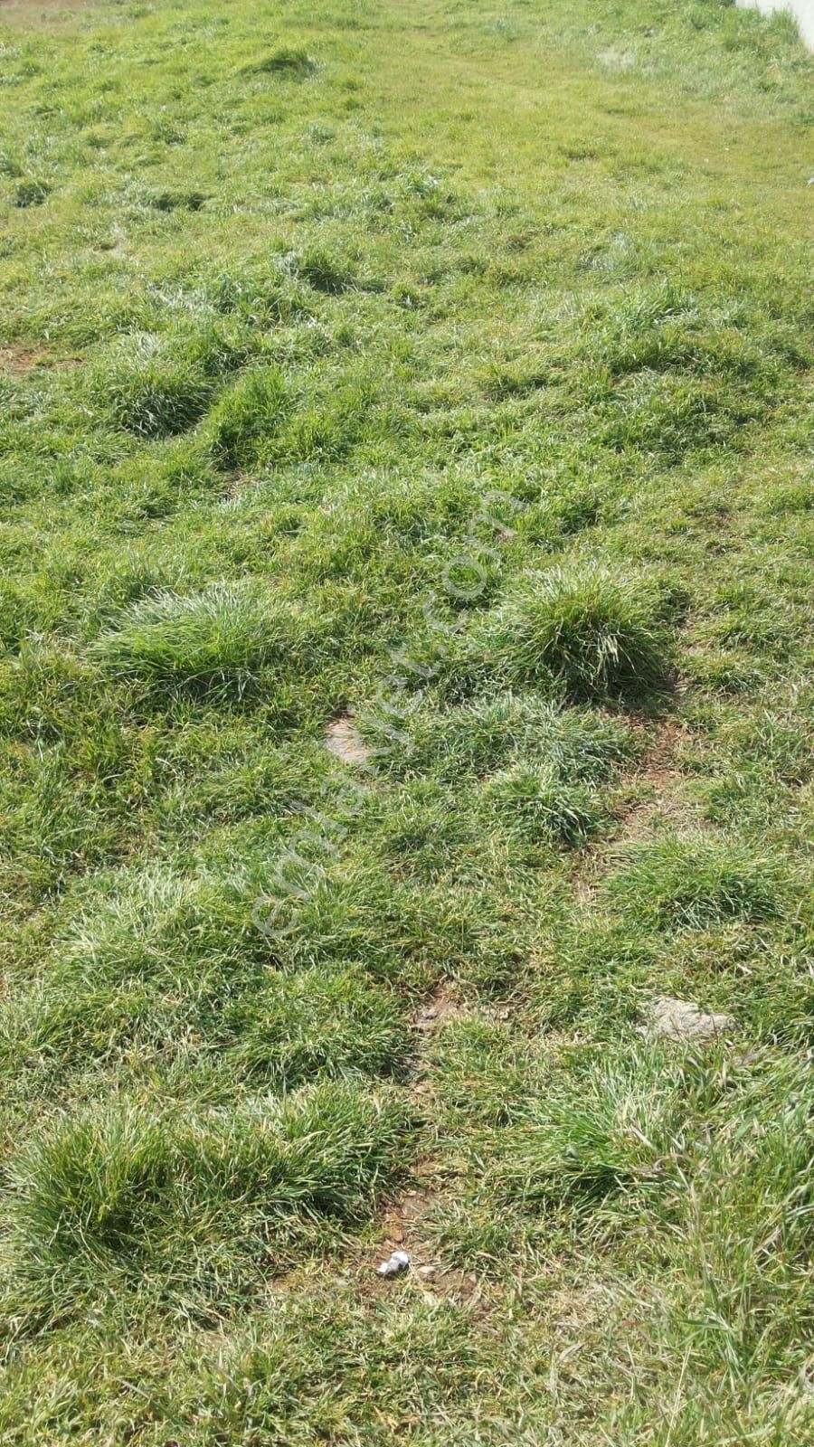 Kartal Yakacıkta % 45 Kat Karşılığı Düşeş Kazandıracak Arsa No:74