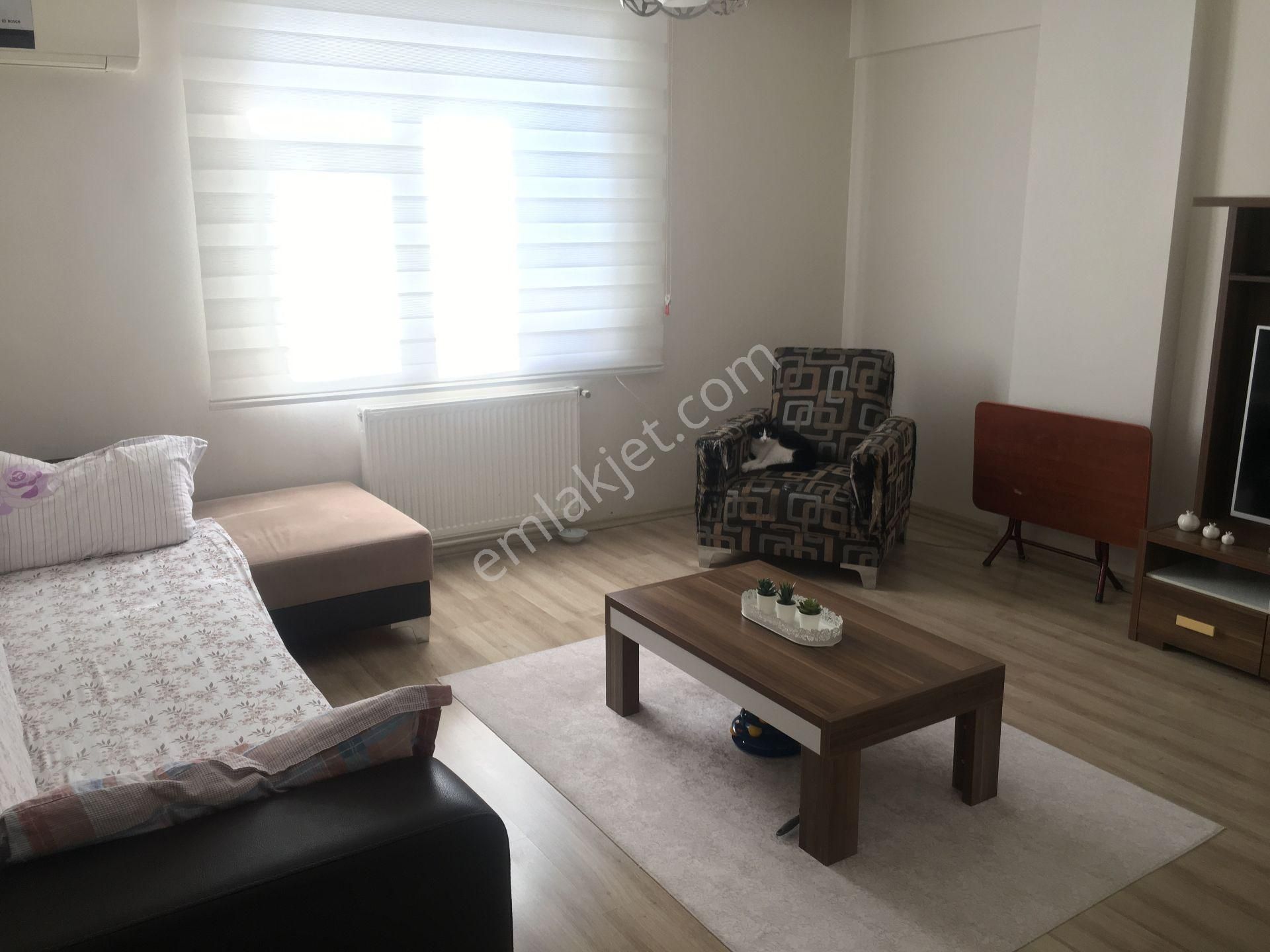 Masrafsız Temiz Daire - Görsel 2