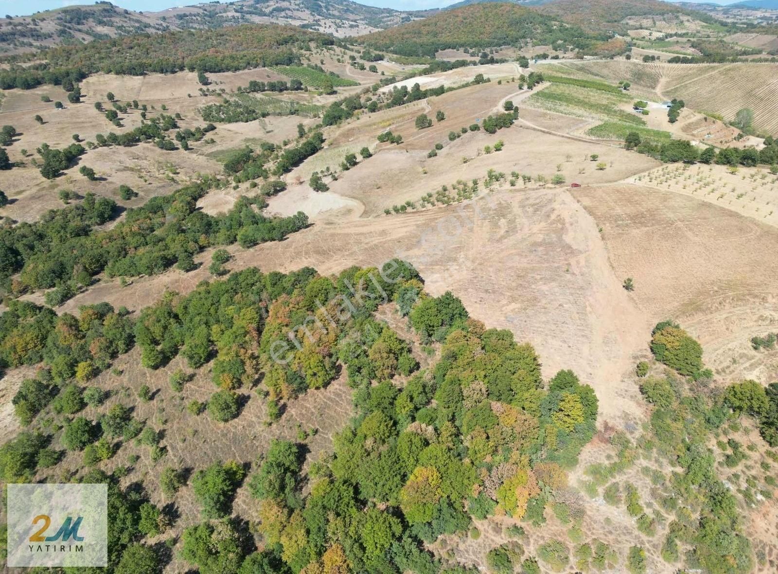 2m Yatırım'dan İznik Yörükler Mah Satılık Tarla - Görsel 7