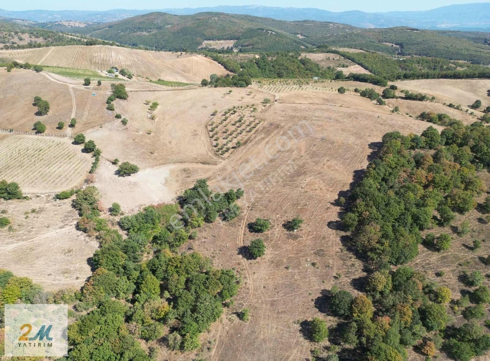 2m Yatırım'dan İznik Yörükler Mah Satılık Tarla - Görsel 12