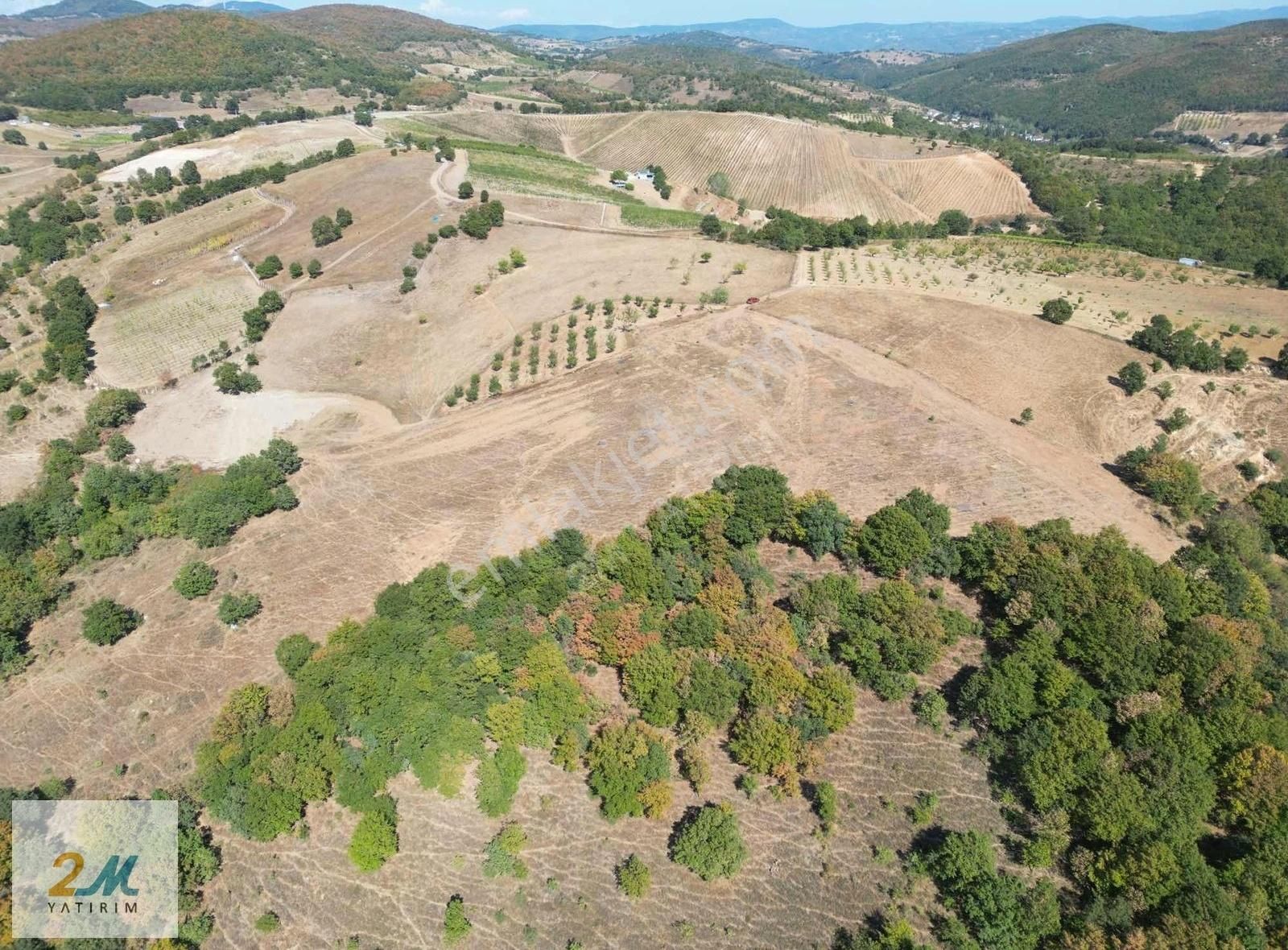 2m Yatırım'dan İznik Yörükler Mah Satılık Tarla - Görsel 16