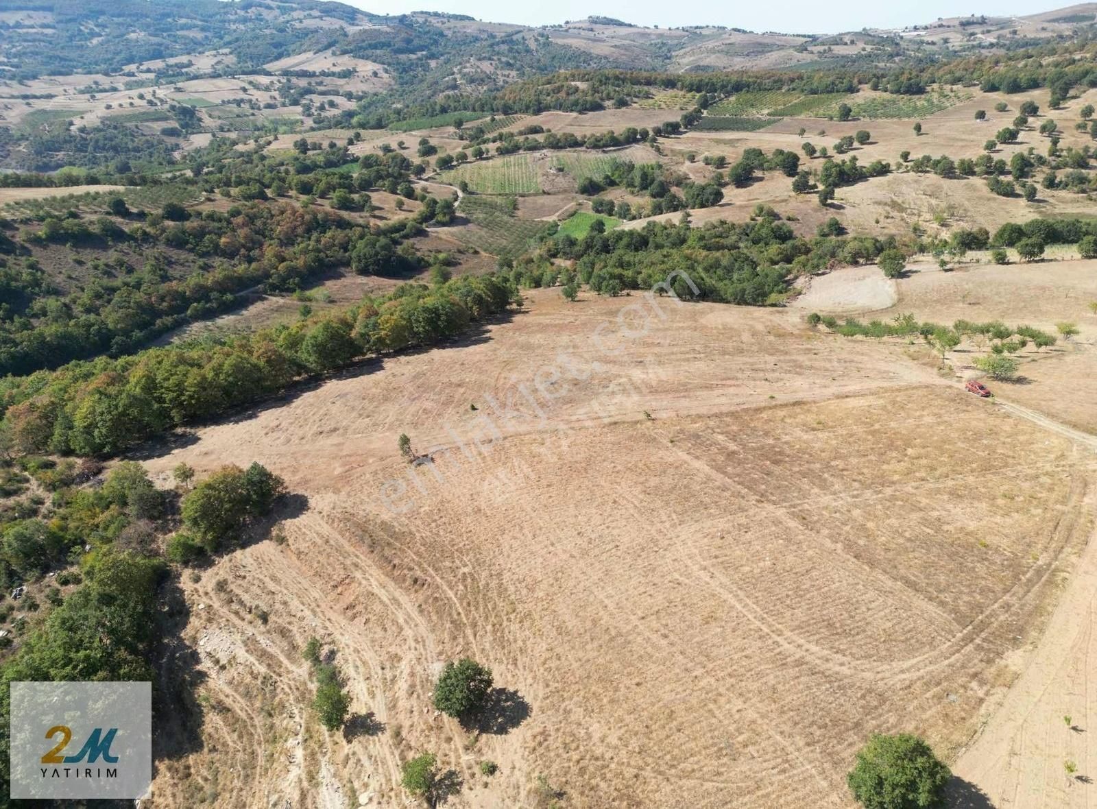 2m Yatırım'dan İznik Yörükler Mah Satılık Tarla - Görsel 5