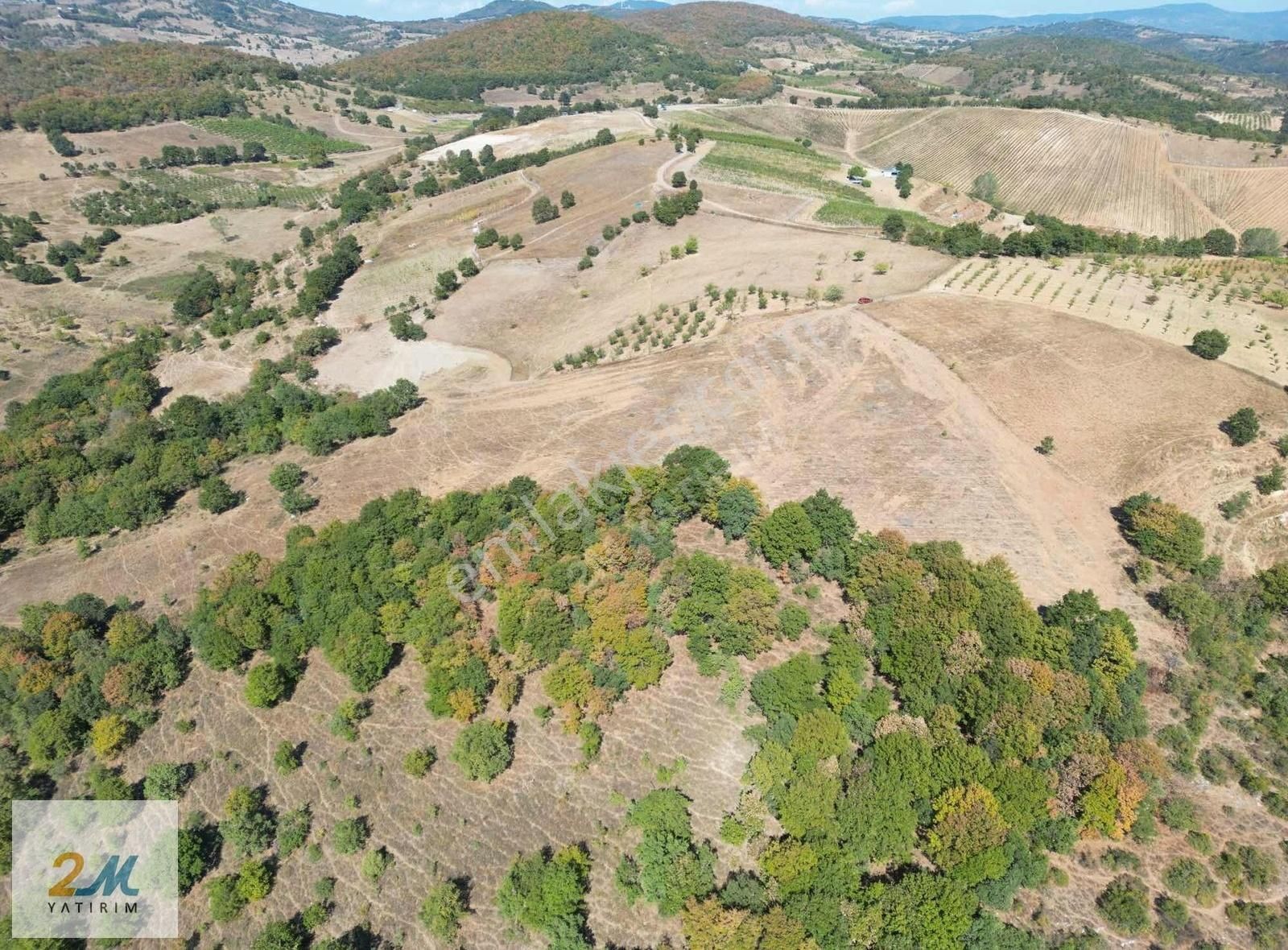2m Yatırım'dan İznik Yörükler Mah Satılık Tarla - Görsel 2