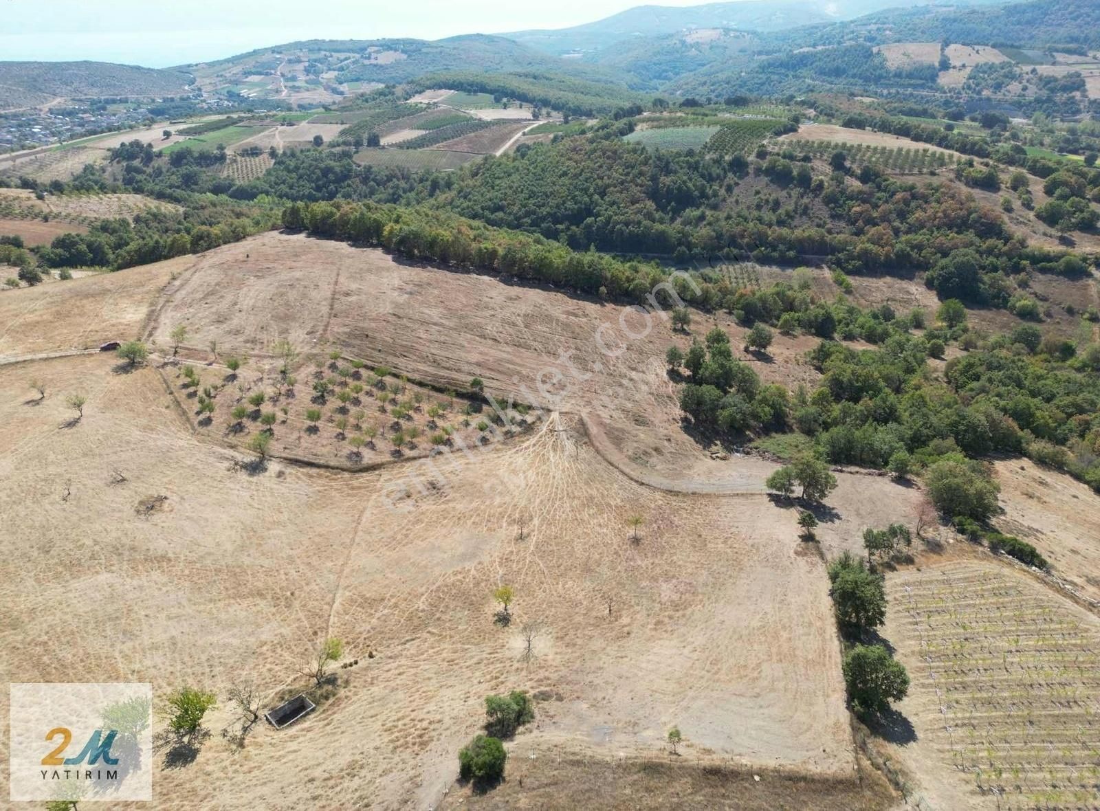 2m Yatırım'dan İznik Yörükler Mah Satılık Tarla - Görsel 15