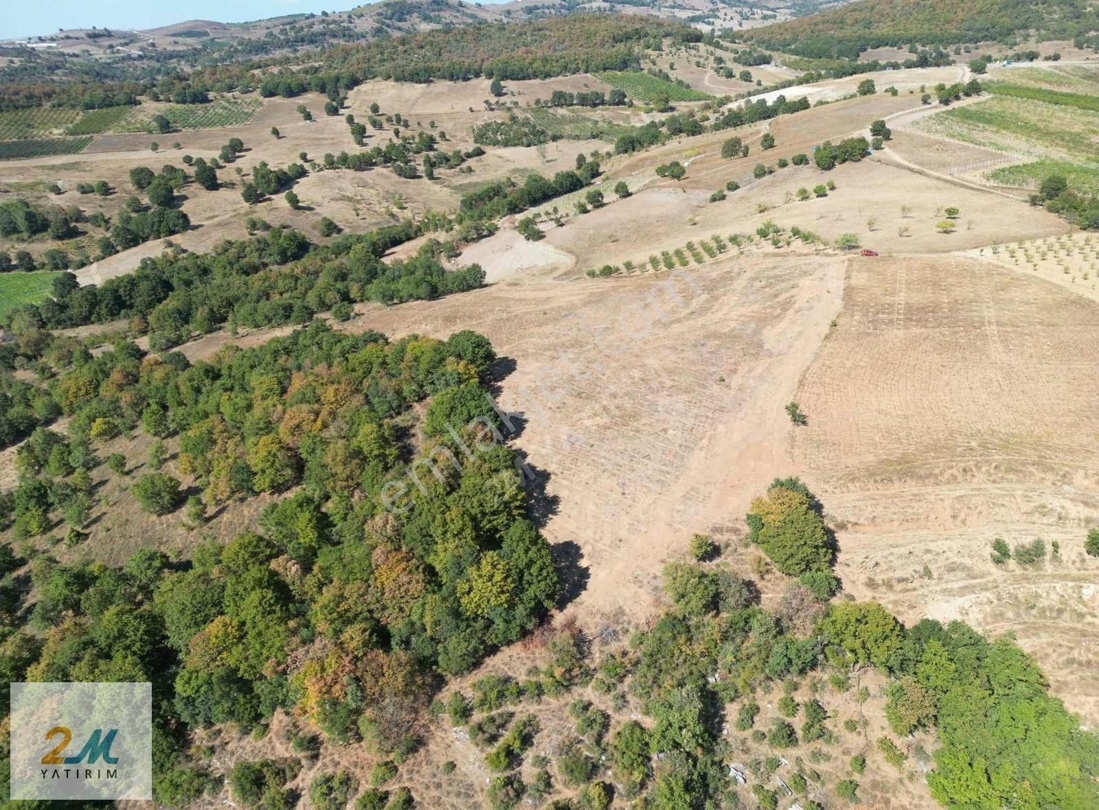 2m Yatırım'dan İznik Yörükler Mah Satılık Tarla - Görsel 8