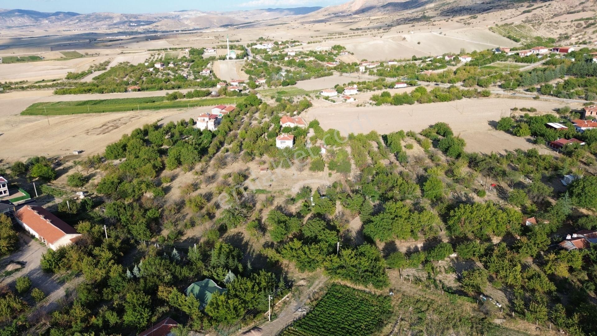 Ayaş Oltan İmarlı Arsa Satılık - Görsel 13