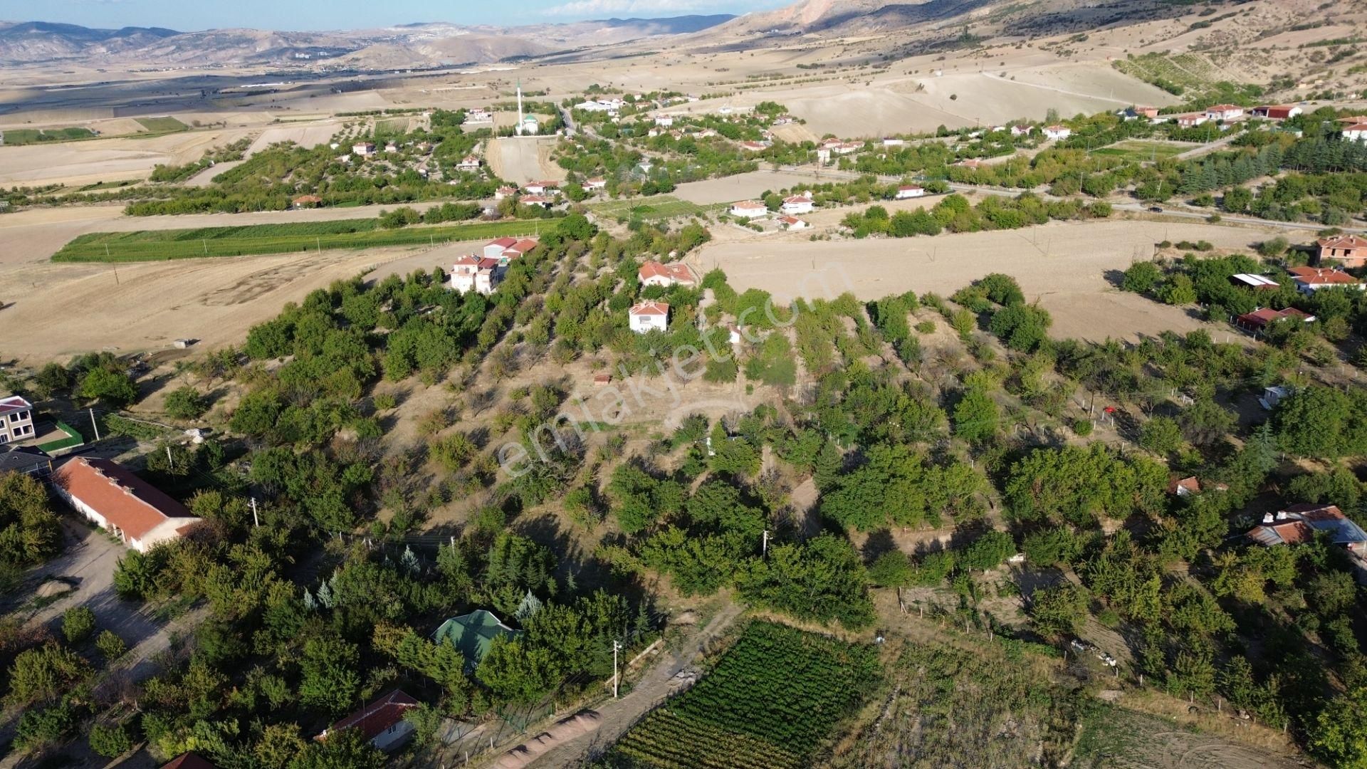 Ayaş Oltan İmarlı Arsa Satılık - Görsel 14