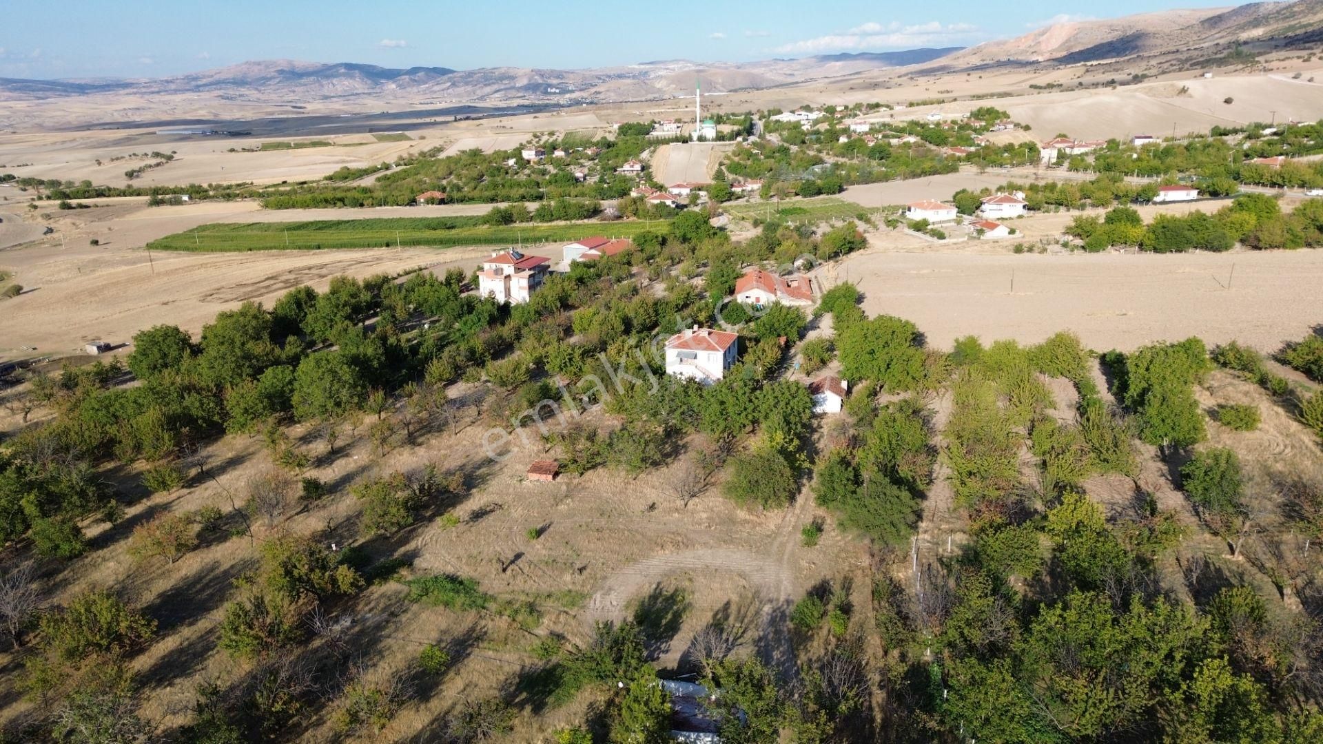 Ayaş Oltan İmarlı Arsa Satılık - Görsel 11