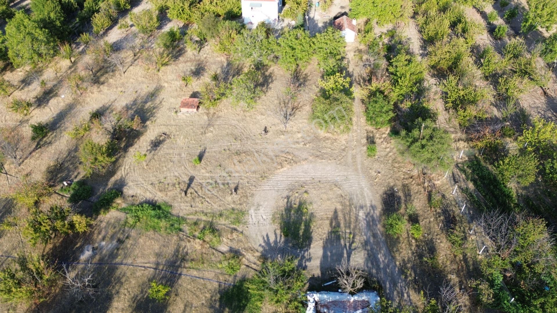 Ayaş Oltan İmarlı Arsa Satılık - Görsel 8