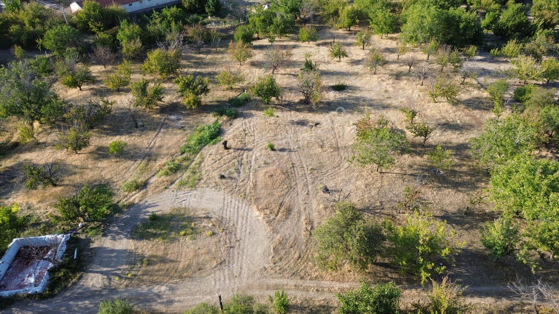 Ayaş Oltan İmarlı Arsa Satılık - Görsel 2