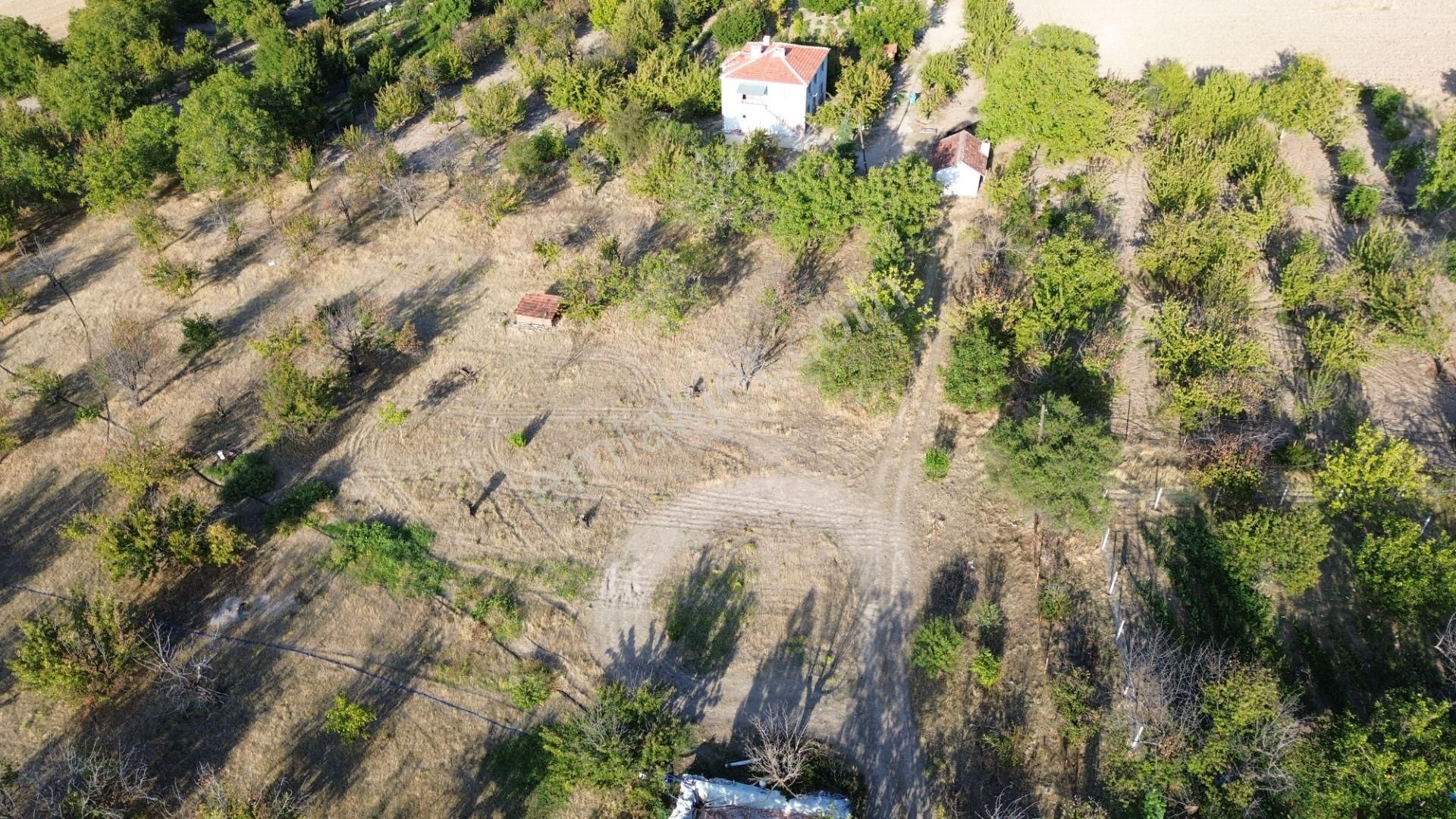 Ayaş Oltan İmarlı Arsa Satılık - Görsel 12