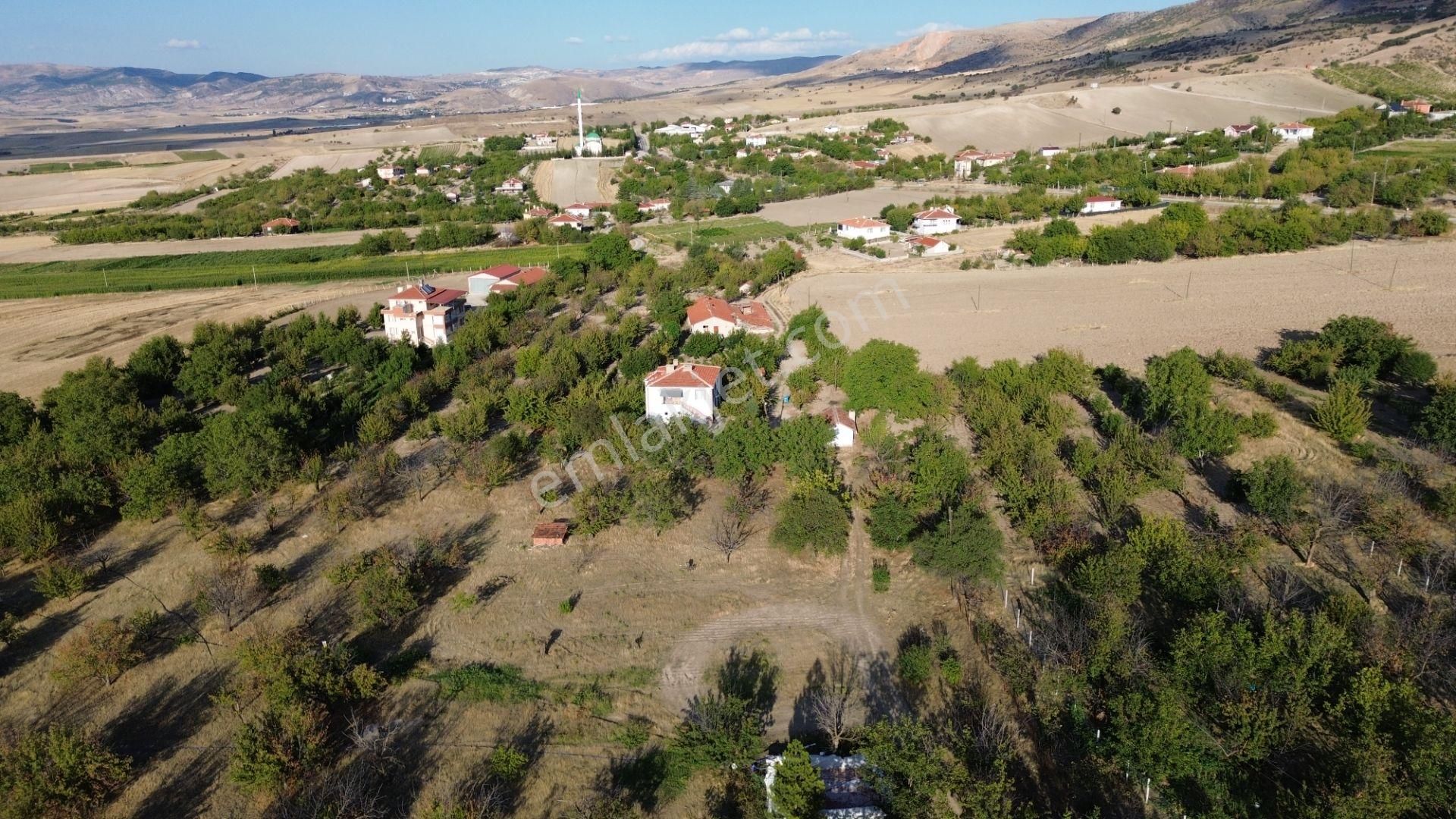 Ayaş Oltan İmarlı Arsa Satılık - Görsel 10