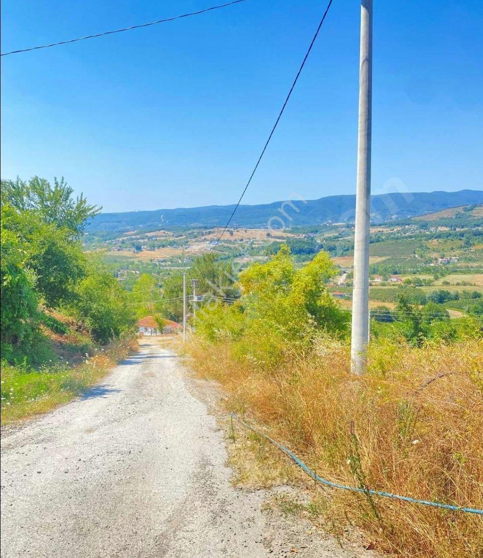 Sakarya Hendek Karaçökek Mh Konut Imarlı Kelepır Arsalar Dönümü 2750 - Görsel 10