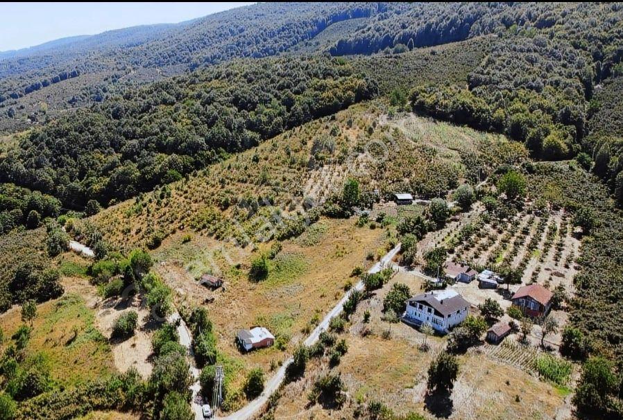 Sakarya Hendek Karaçökek Mh Konut Imarlı Kelepır Arsalar Dönümü 2750 - Görsel 5