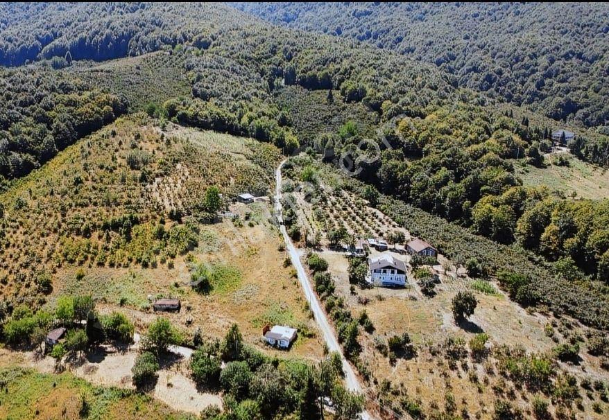 Sakarya Hendek Karaçökek Mh Konut Imarlı Kelepır Arsalar Dönümü 2750 - Görsel 4
