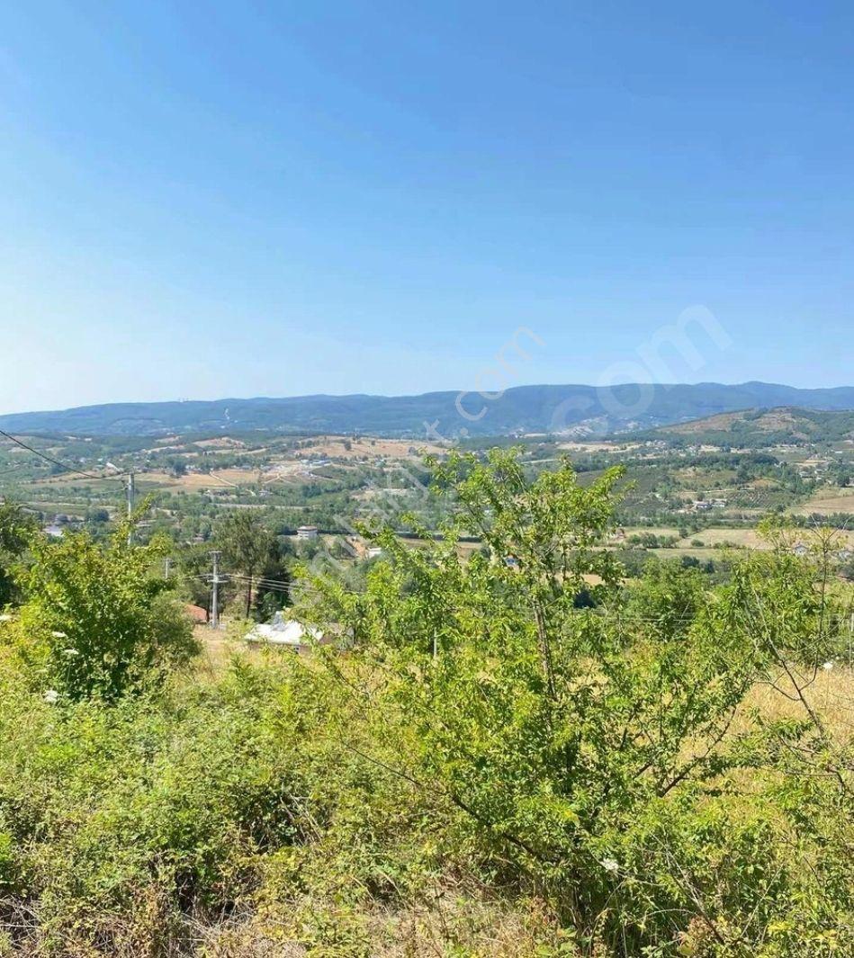 Sakarya Hendek Karaçökek Mh Konut Imarlı Kelepır Arsalar Dönümü 2750 - Görsel 8