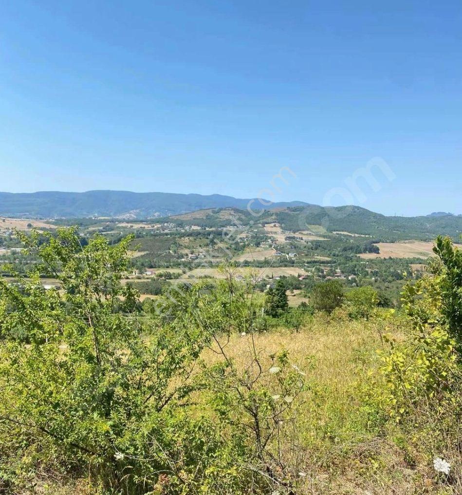 Sakarya Hendek Karaçökek Mh Konut Imarlı Kelepır Arsalar Dönümü 2750 - Görsel 9
