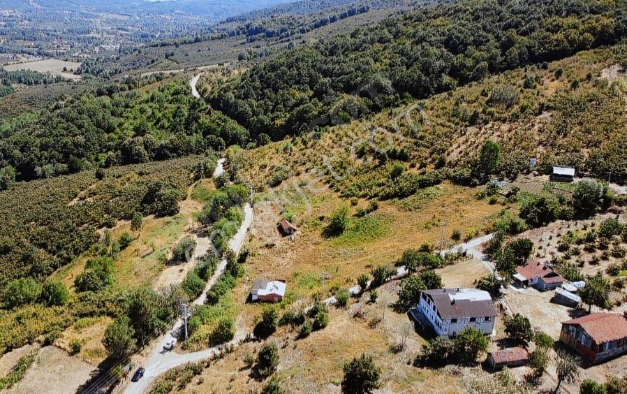 Sakarya Hendek Karaçökek Mh Konut Imarlı Kelepır Arsalar Dönümü 2750 - Görsel 6