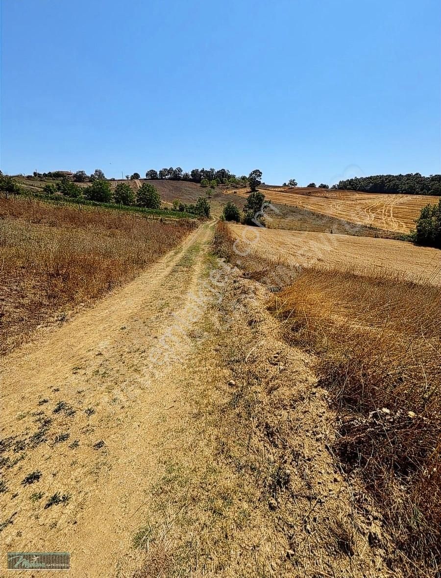Derince Geredeli De Satılık Hobi Bahçesi Veya Yatırımlık Arazi - Görsel 2