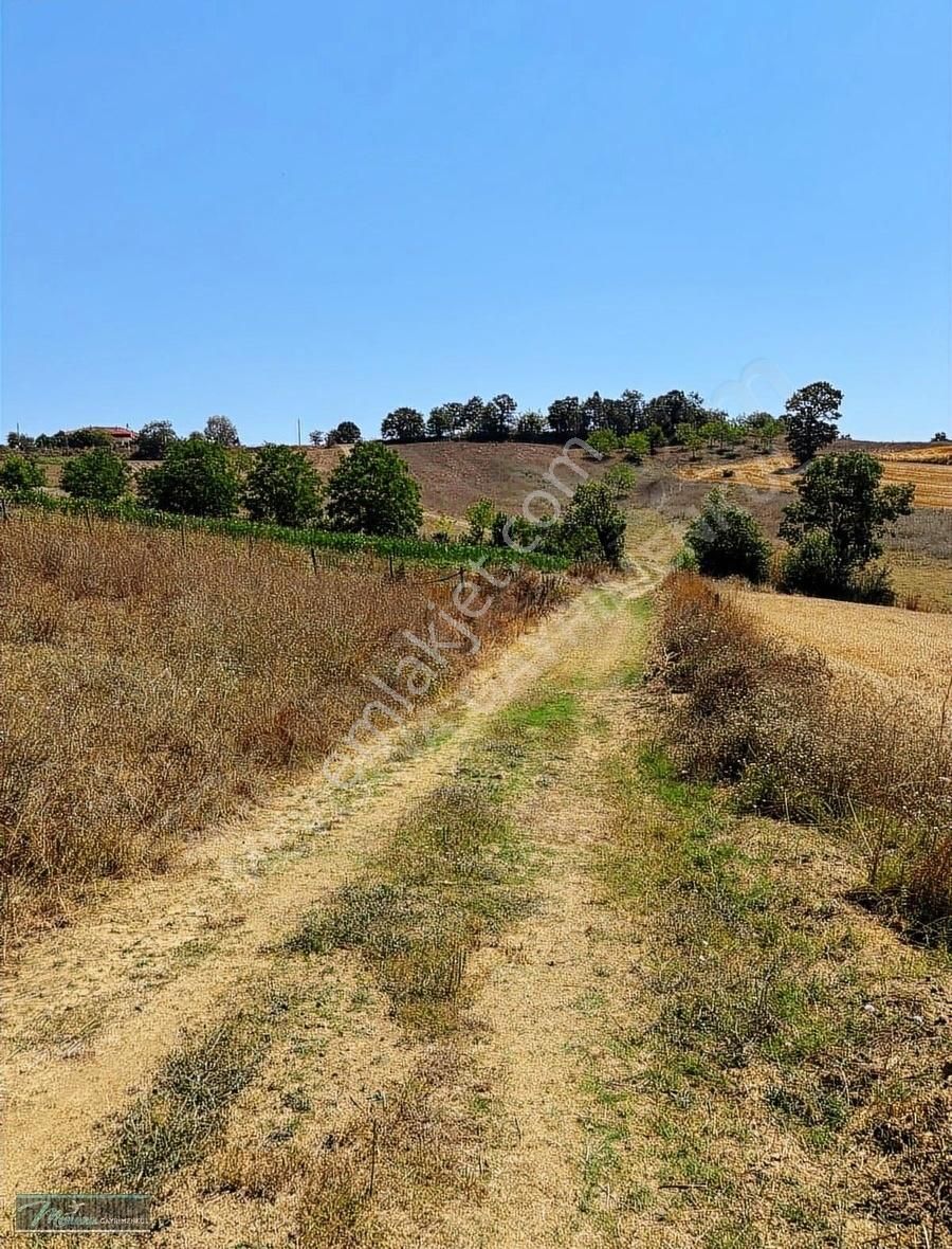 Derince Geredeli De Satılık Hobi Bahçesi Veya Yatırımlık Arazi - Görsel 4