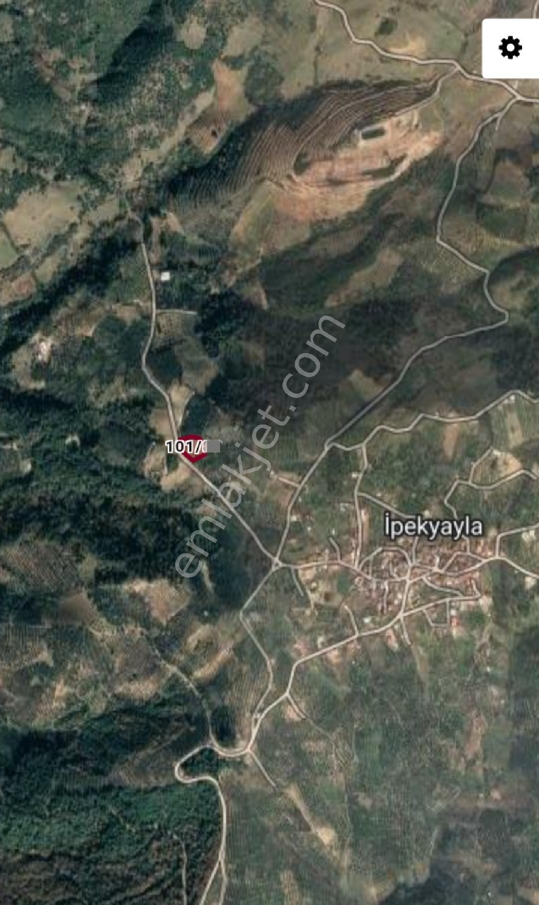 Ena Group Bursa Mudanya İpekyayla'da 2750 M2 Satılık Zeytinlik - Görsel 2