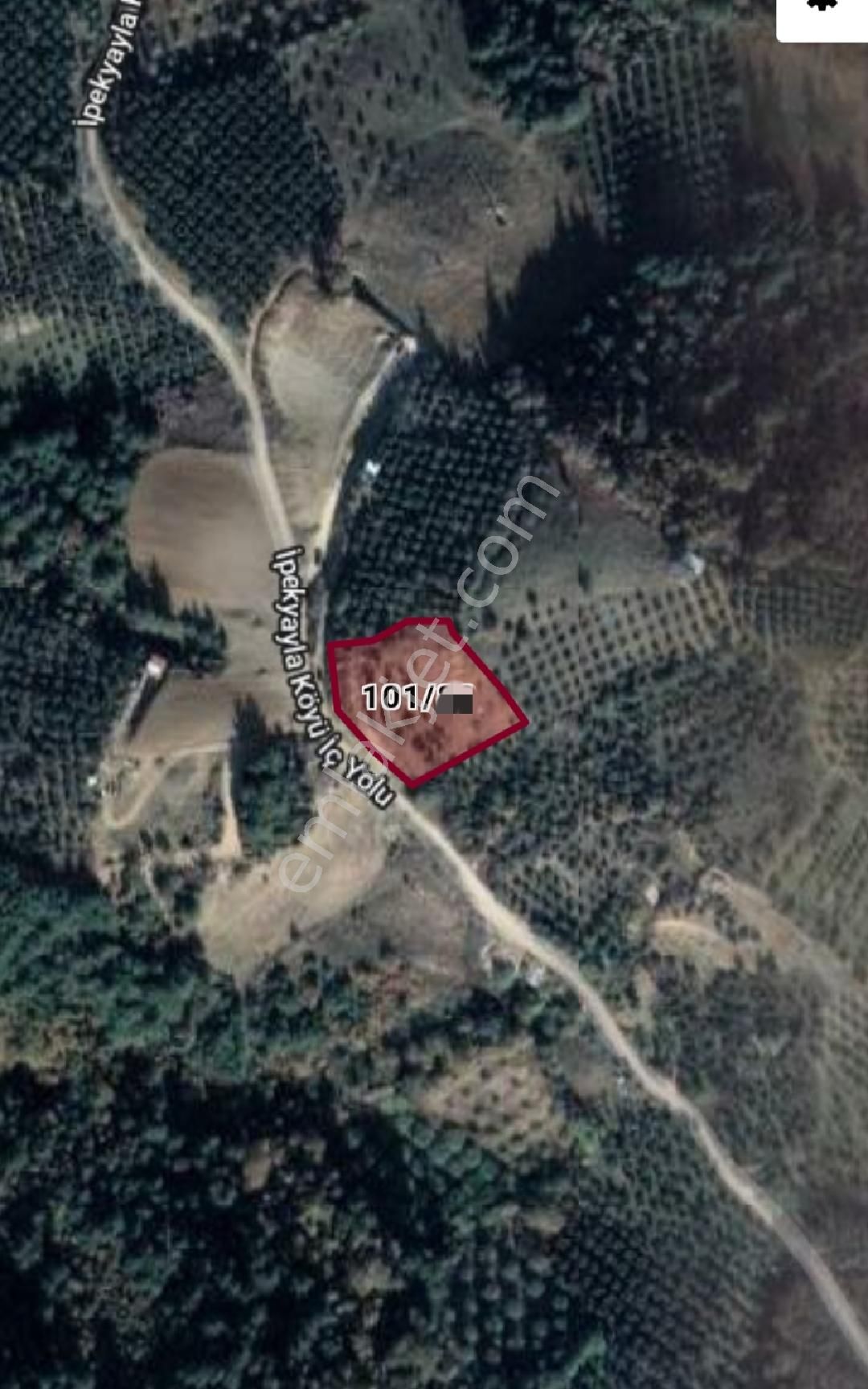 Ena Group Bursa Mudanya İpekyayla'da 2750 M2 Satılık Zeytinlik