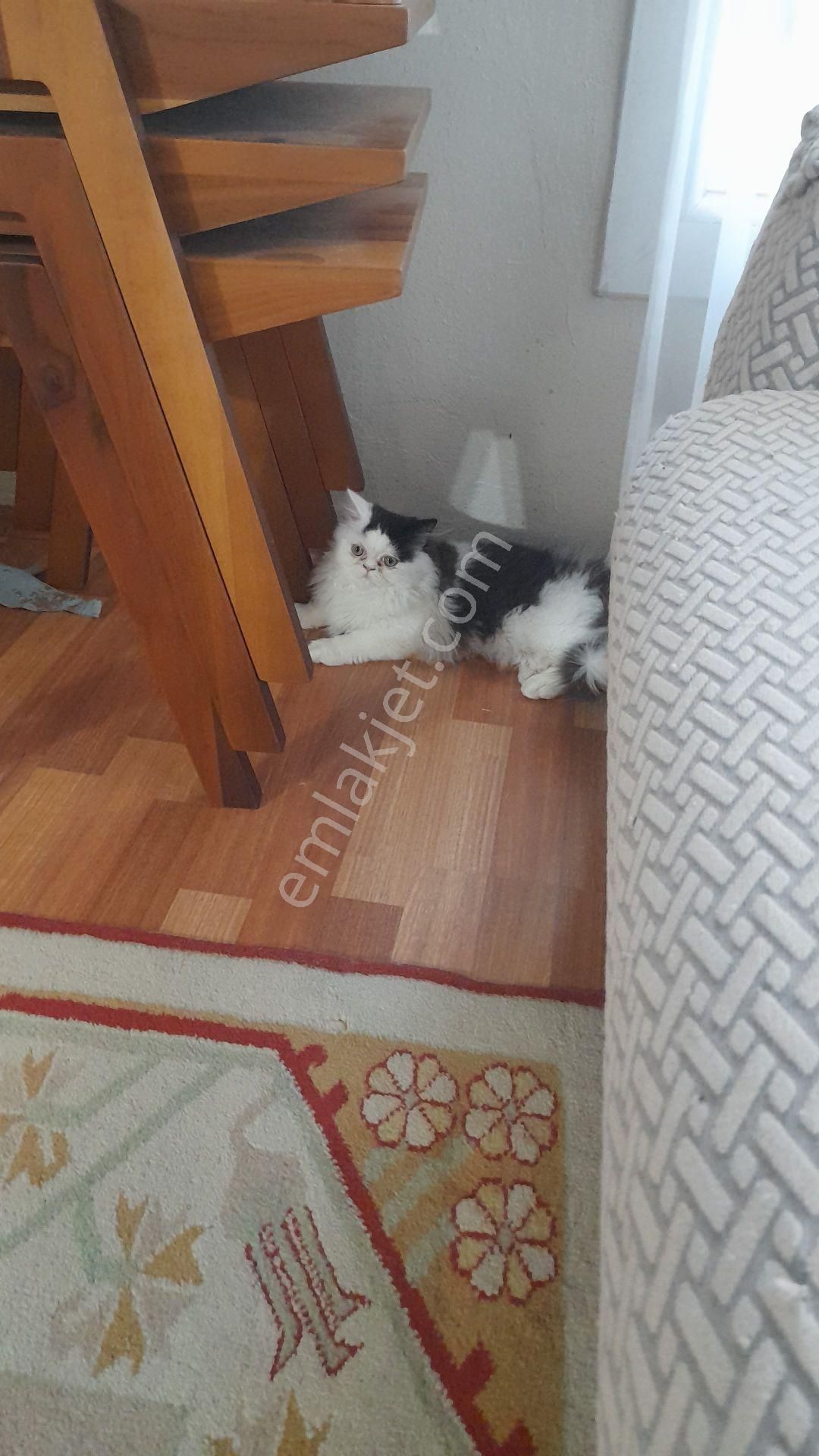 İnönü Caddesinde Bakımlı 2 - Görsel 6