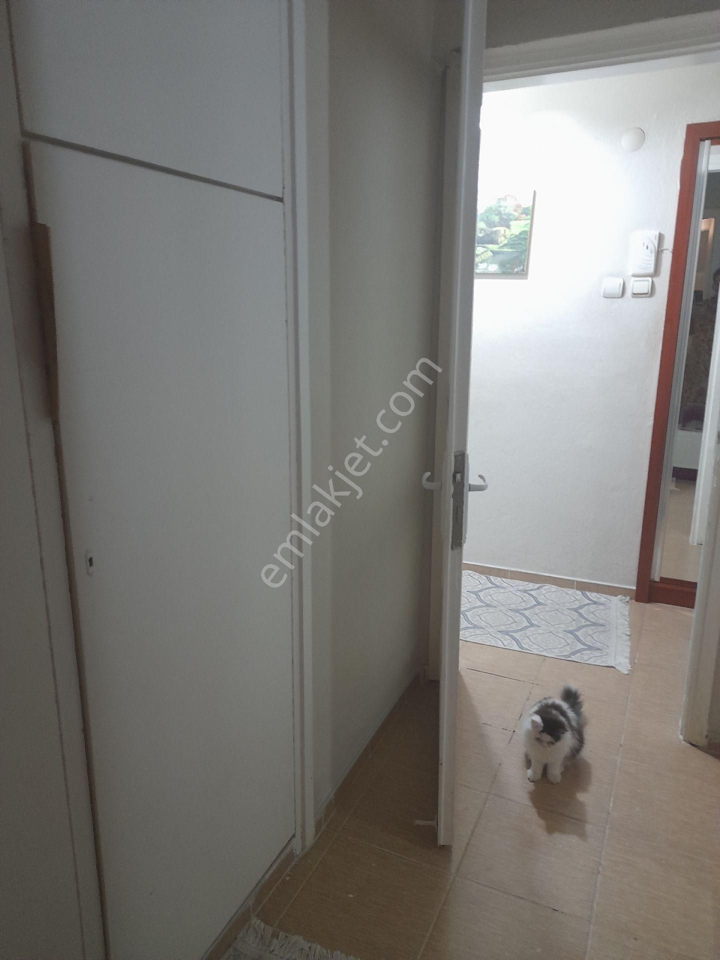 İnönü Caddesinde Bakımlı 2 - Görsel 15