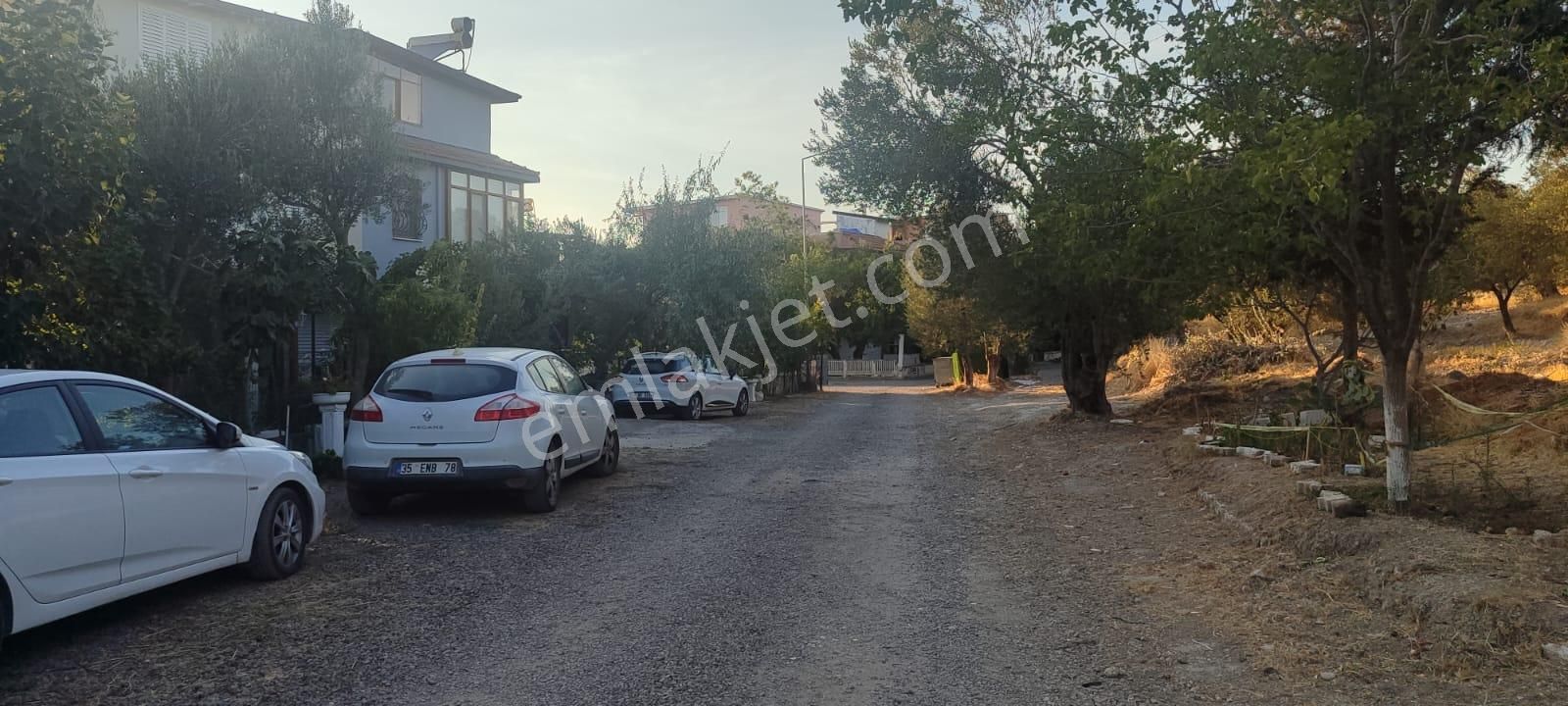 Küçükköy Tuzla’da Satılık 5.099 M² Zeytinlik | Yatırımlık Arazi | Can Emlak Güvencesiyle - Görsel 2