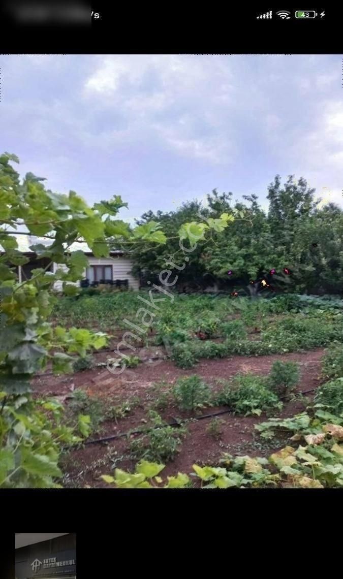 Ertex Gayrimenkul Den Kozagaç Parkı İlerisi 910 M2 Arsa - Görsel 3