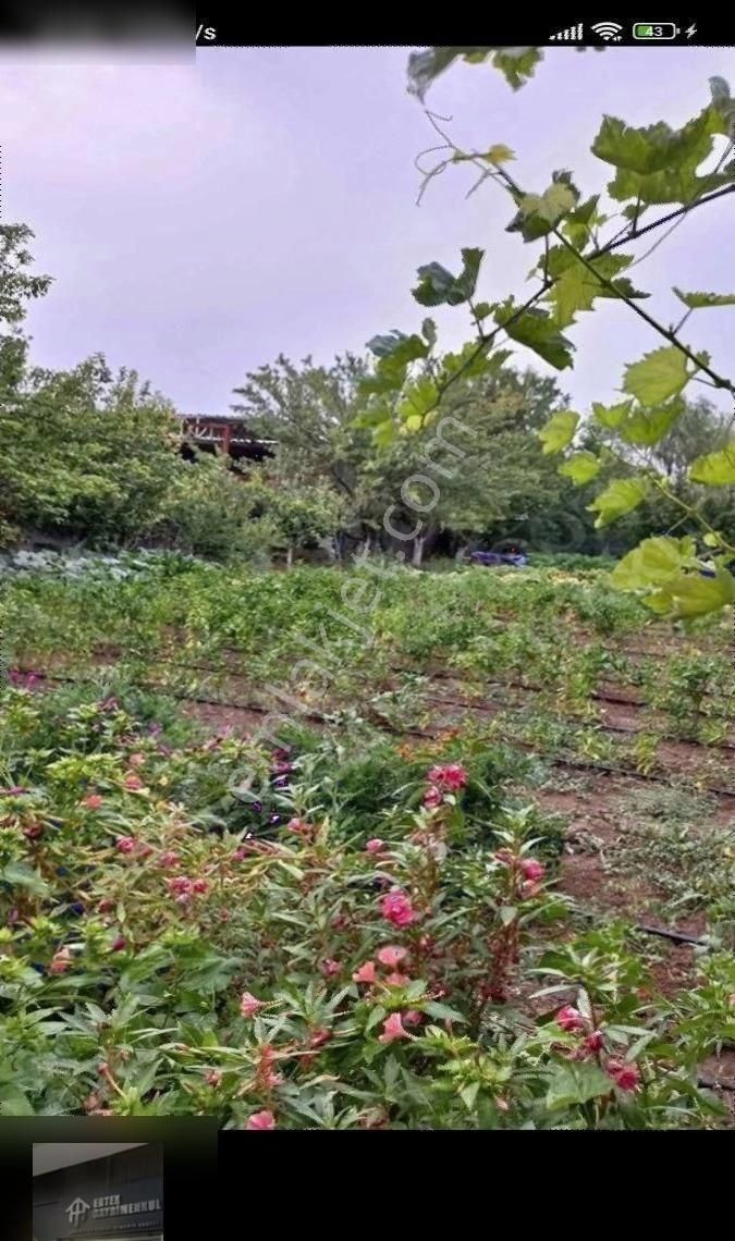 Ertex Gayrimenkul Den Kozagaç Parkı İlerisi 910 M2 Arsa - Görsel 11