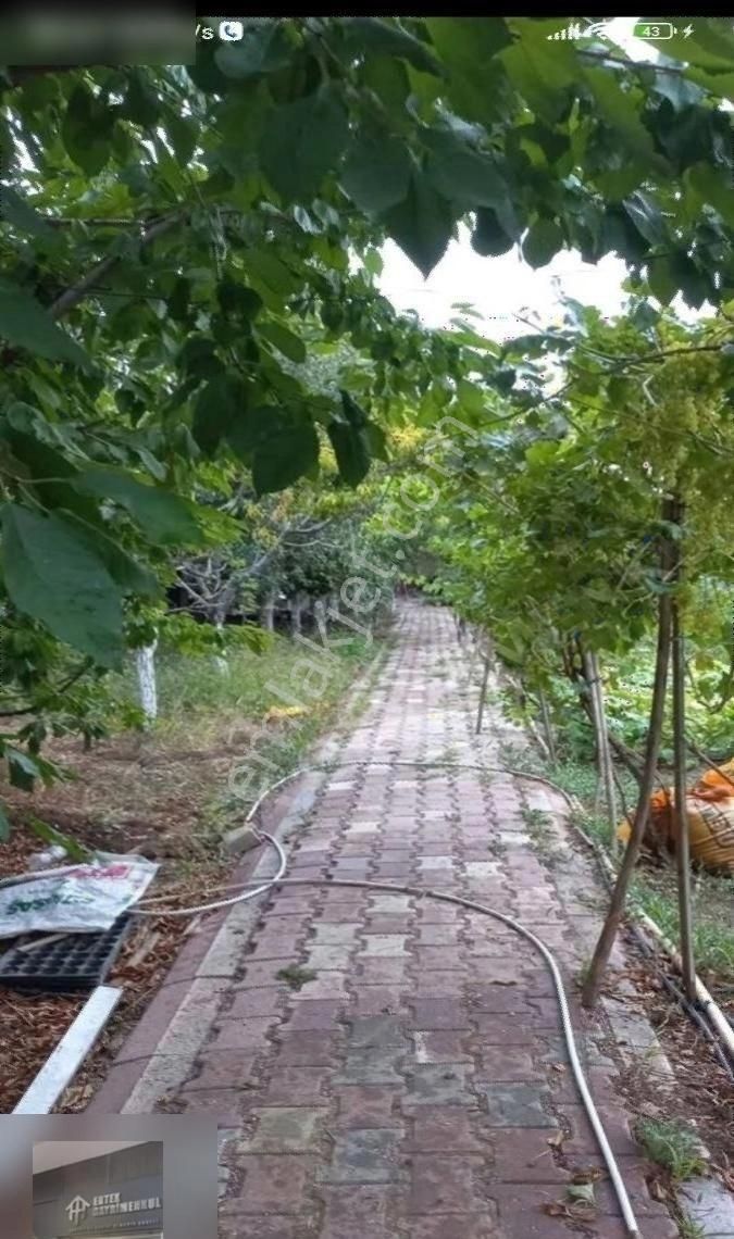 Ertex Gayrimenkul Den Kozagaç Parkı İlerisi 910 M2 Arsa - Görsel 12