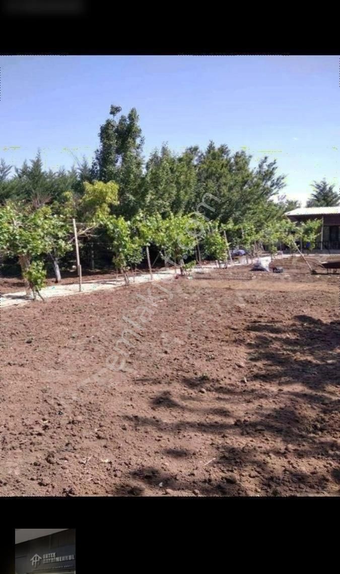 Ertex Gayrimenkul Den Kozagaç Parkı İlerisi 910 M2 Arsa - Görsel 4