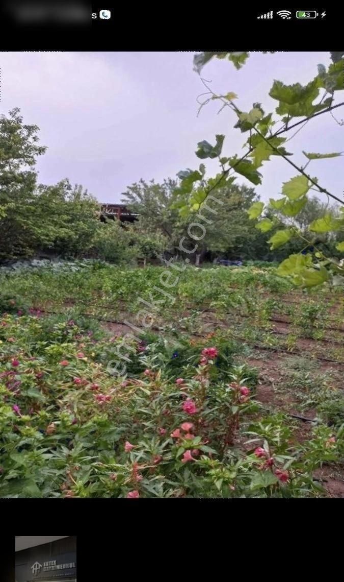 Ertex Gayrimenkul Den Kozagaç Parkı İlerisi 910 M2 Arsa - Görsel 10