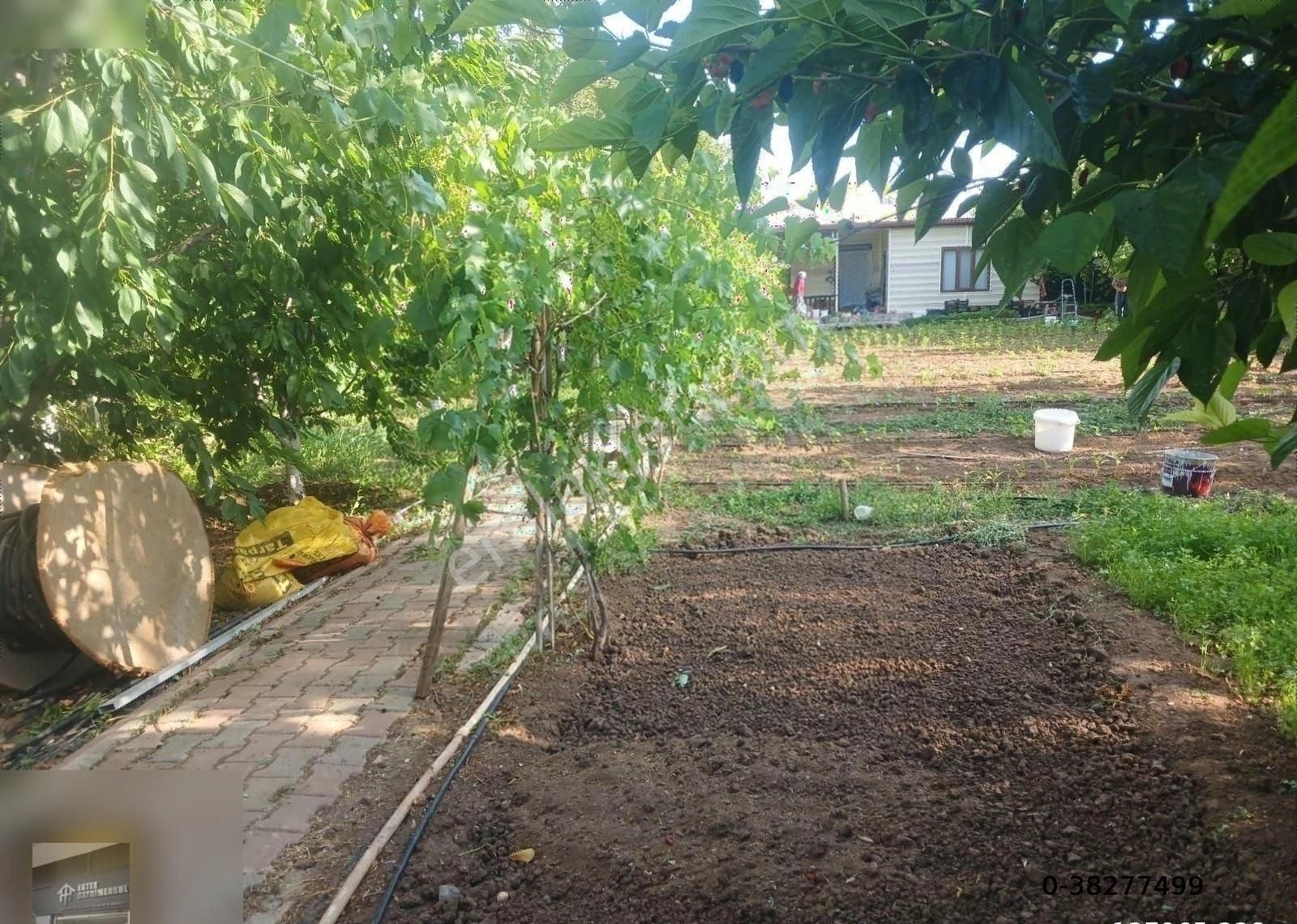 Ertex Gayrimenkul Den Kozagaç Parkı İlerisi 910 M2 Arsa - Görsel 2