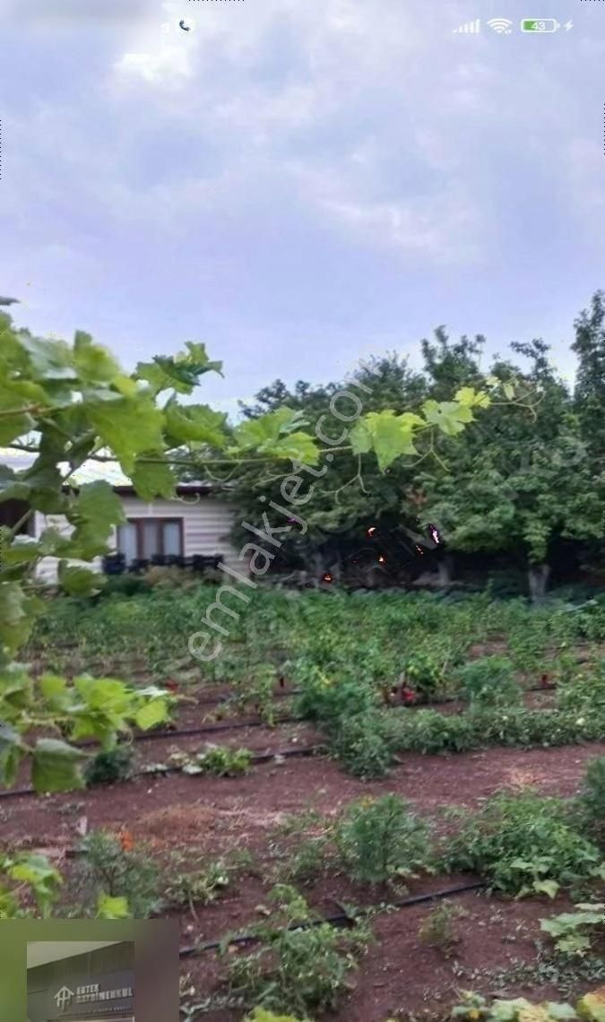 Ertex Gayrimenkul Den Kozagaç Parkı İlerisi 910 M2 Arsa - Görsel 6