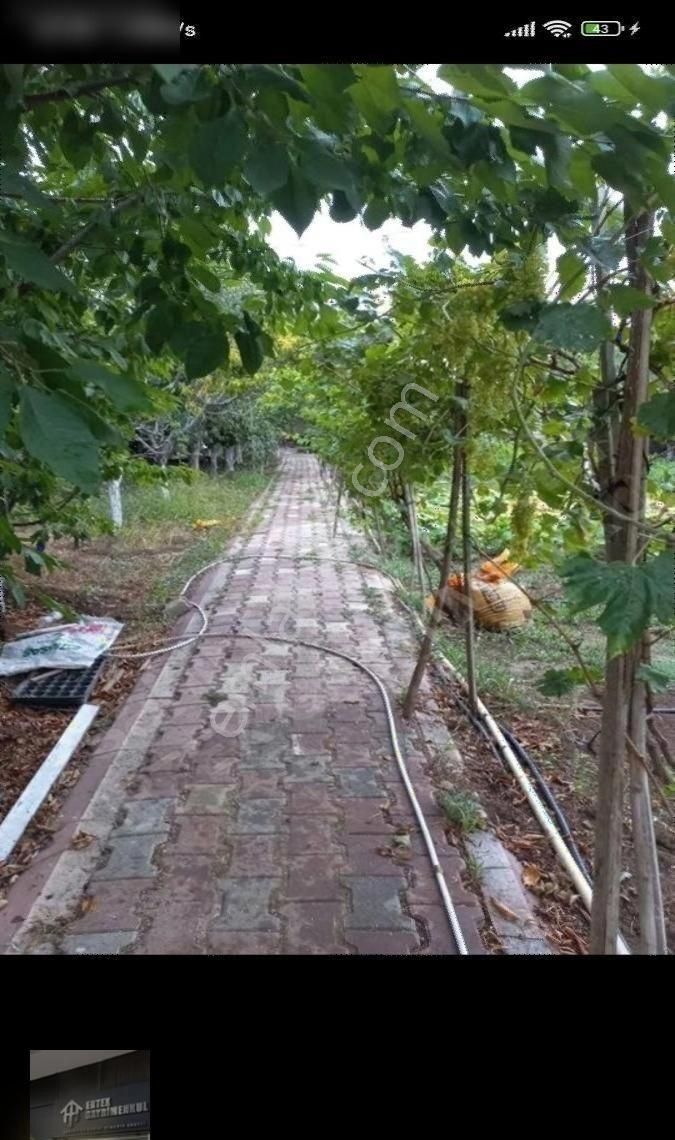 Ertex Gayrimenkul Den Kozagaç Parkı İlerisi 910 M2 Arsa - Görsel 7