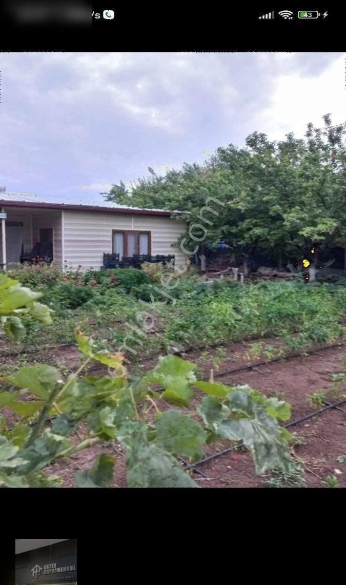 Ertex Gayrimenkul Den Kozagaç Parkı İlerisi 910 M2 Arsa