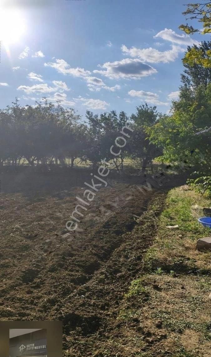 Ertex Gayrimenkul Den Kozağaç Parkı Yanı 1000 M2 Villa Arsası - Görsel 5