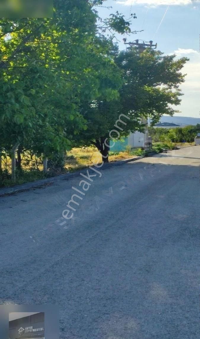 Ertex Gayrimenkul Den Kozağaç Parkı Yanı 1000 M2 Villa Arsası - Görsel 17