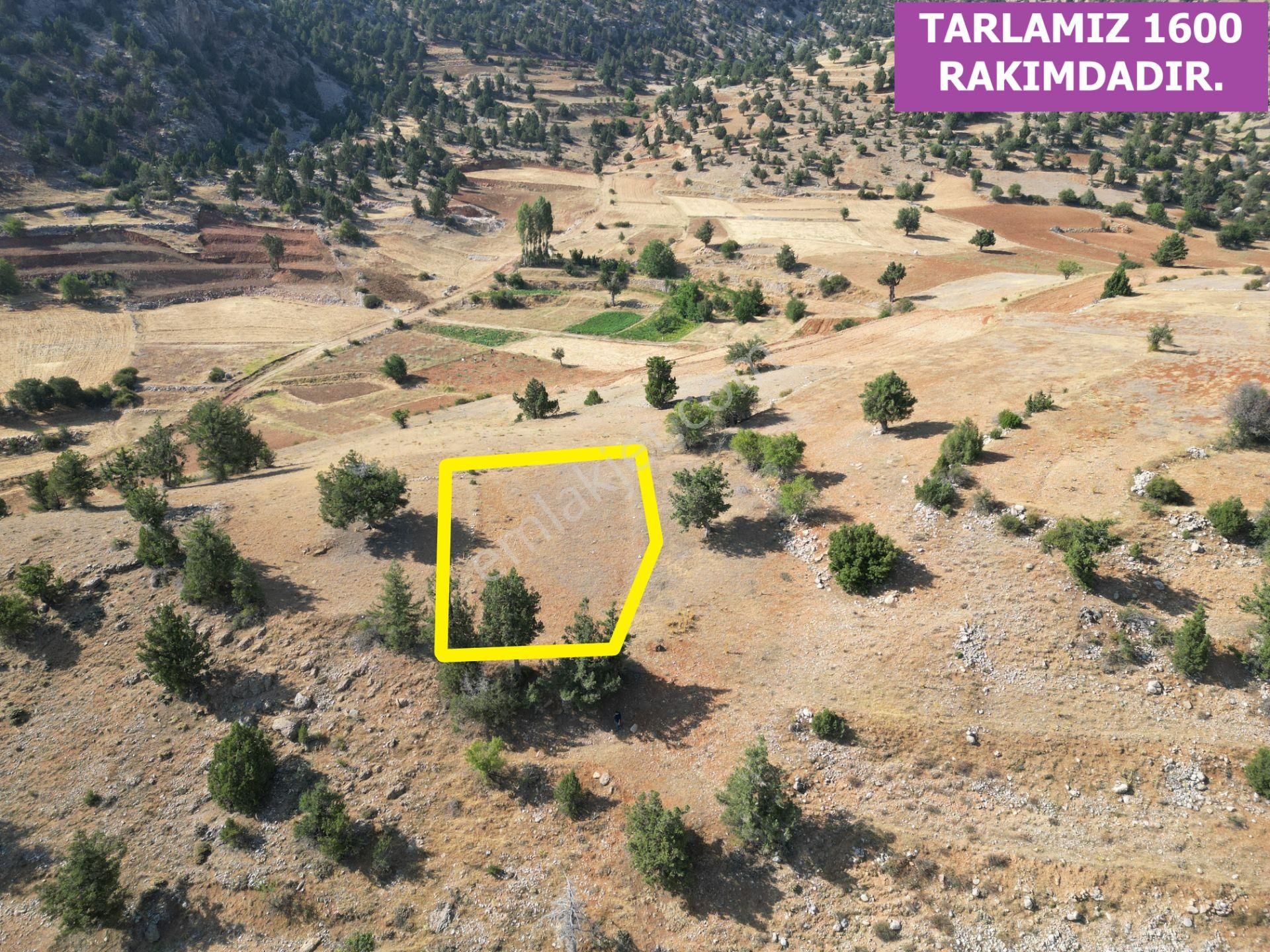 🦋lobby Fortis'ten Satılık Çameli Çiğdemli'de 449 M² Tarla🦋 - Görsel 7