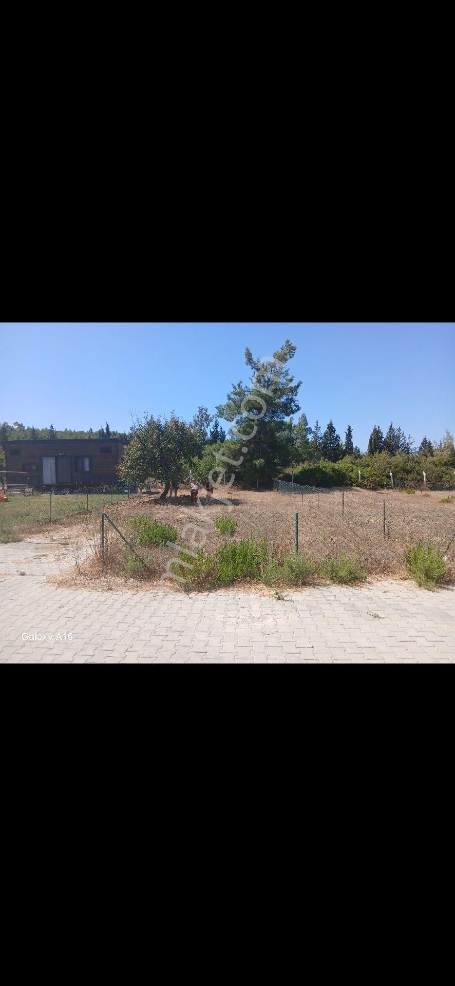 Hobi Bahçesi 303 M2 Çınarköy/kuşadası - Görsel 3