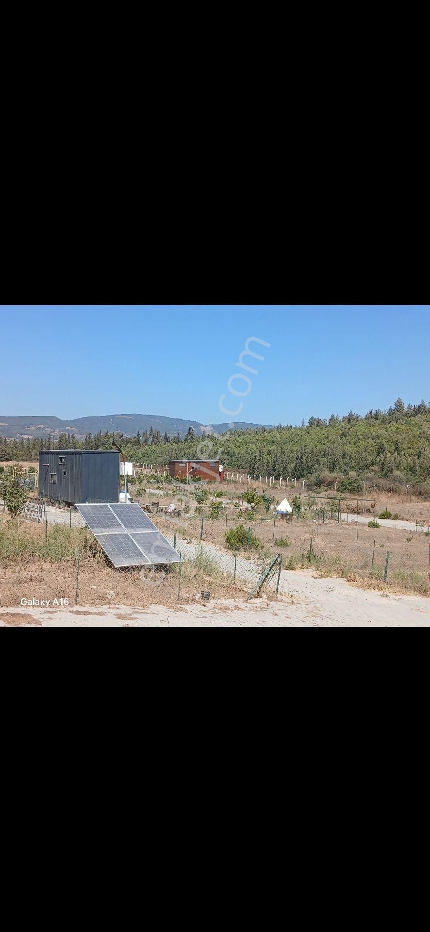 Hobi Bahçesi 303 M2 Çınarköy/kuşadası - Görsel 6