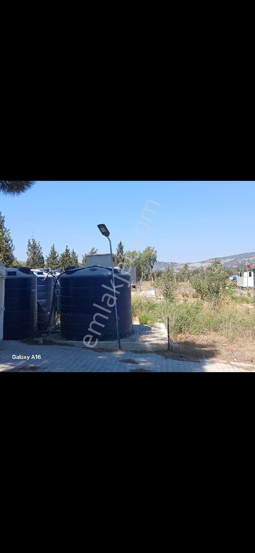 Hobi Bahçesi 303 M2 Çınarköy/kuşadası - Görsel 5