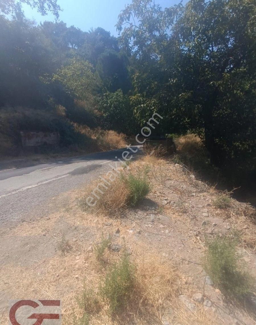 Kelepir Fiyata Subeylidere De Satılık Bahçe - Görsel 5