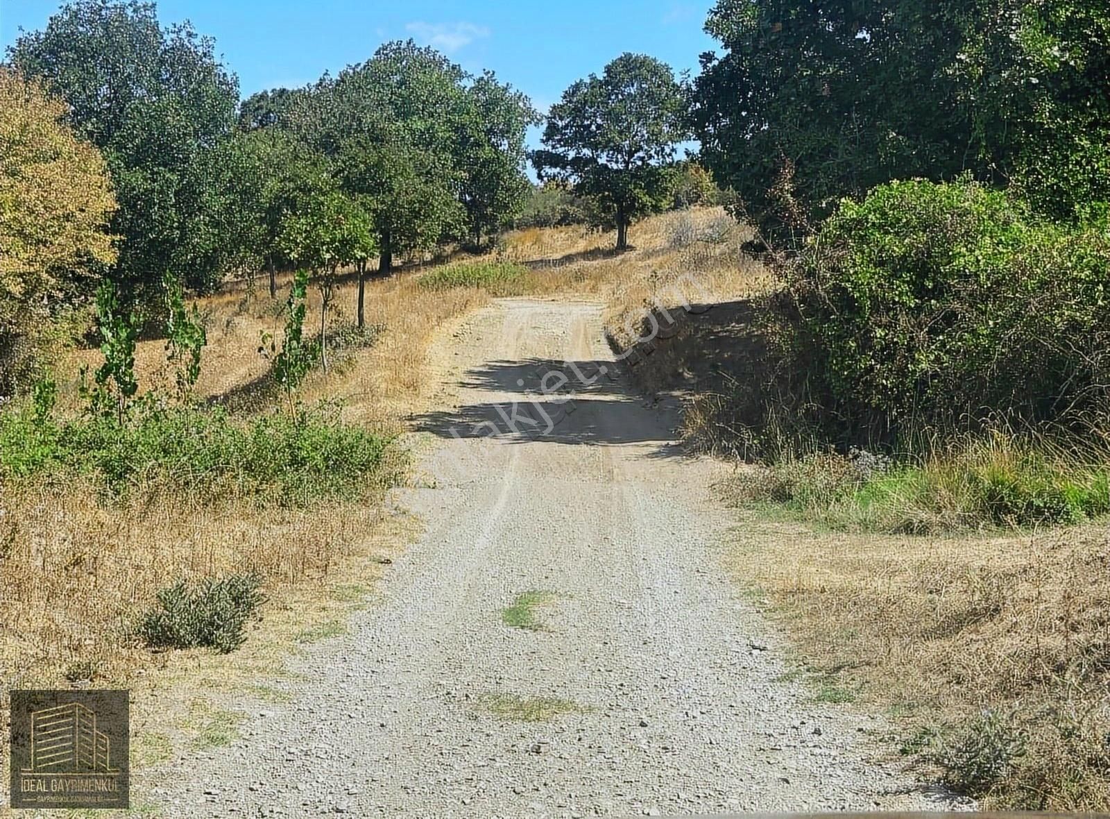 Biga, Kozçeşme Köyü'nde 2.150 M2 Hobi Bahçesi Sizi Bekliyor!!! - Görsel 3