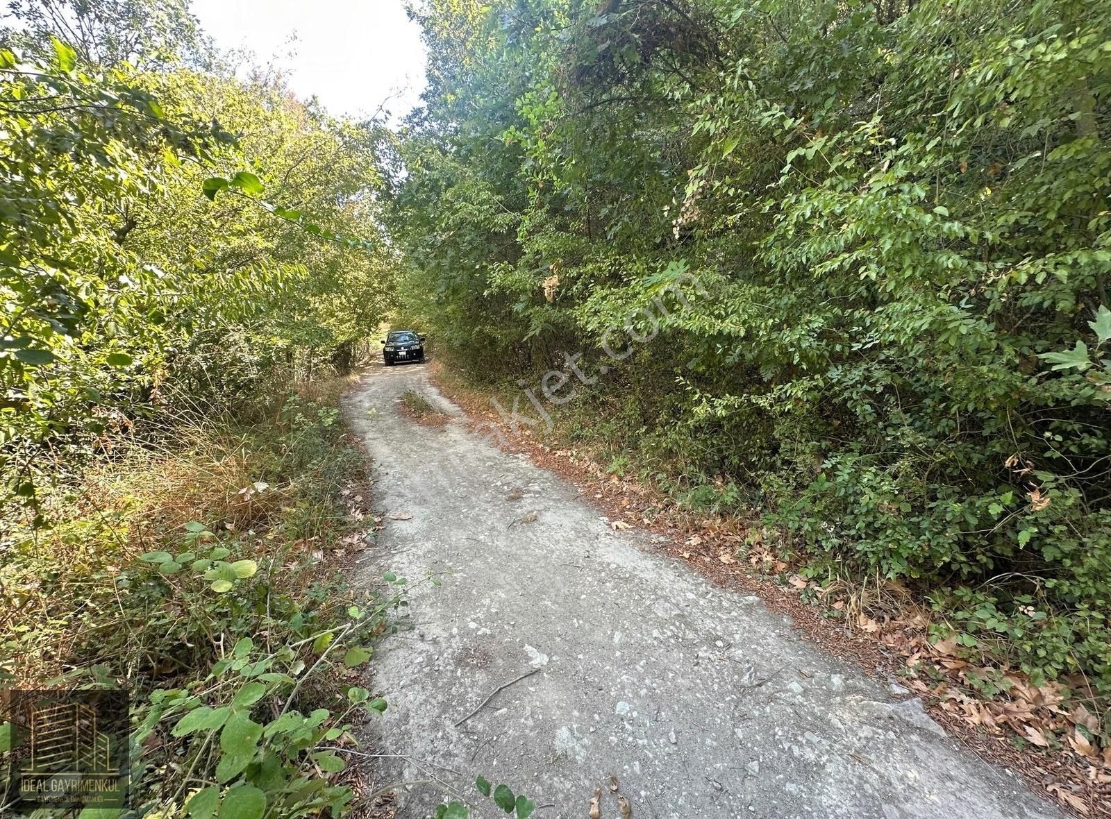 Biga, Kozçeşme Köyü'nde 2.150 M2 Hobi Bahçesi Sizi Bekliyor!!! - Görsel 29