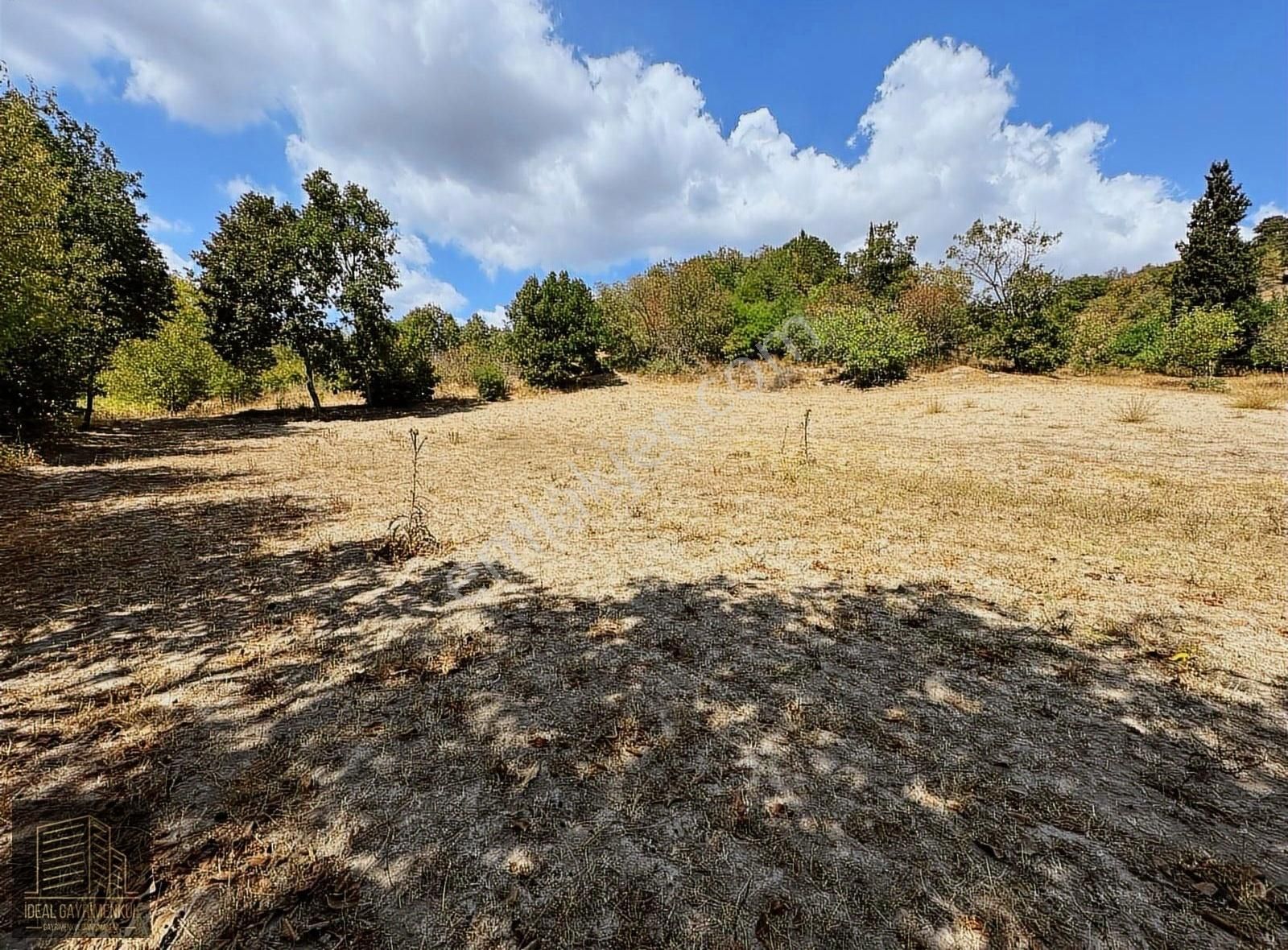 Biga, Kozçeşme Köyü'nde 2.150 M2 Hobi Bahçesi Sizi Bekliyor!!! - Görsel 13